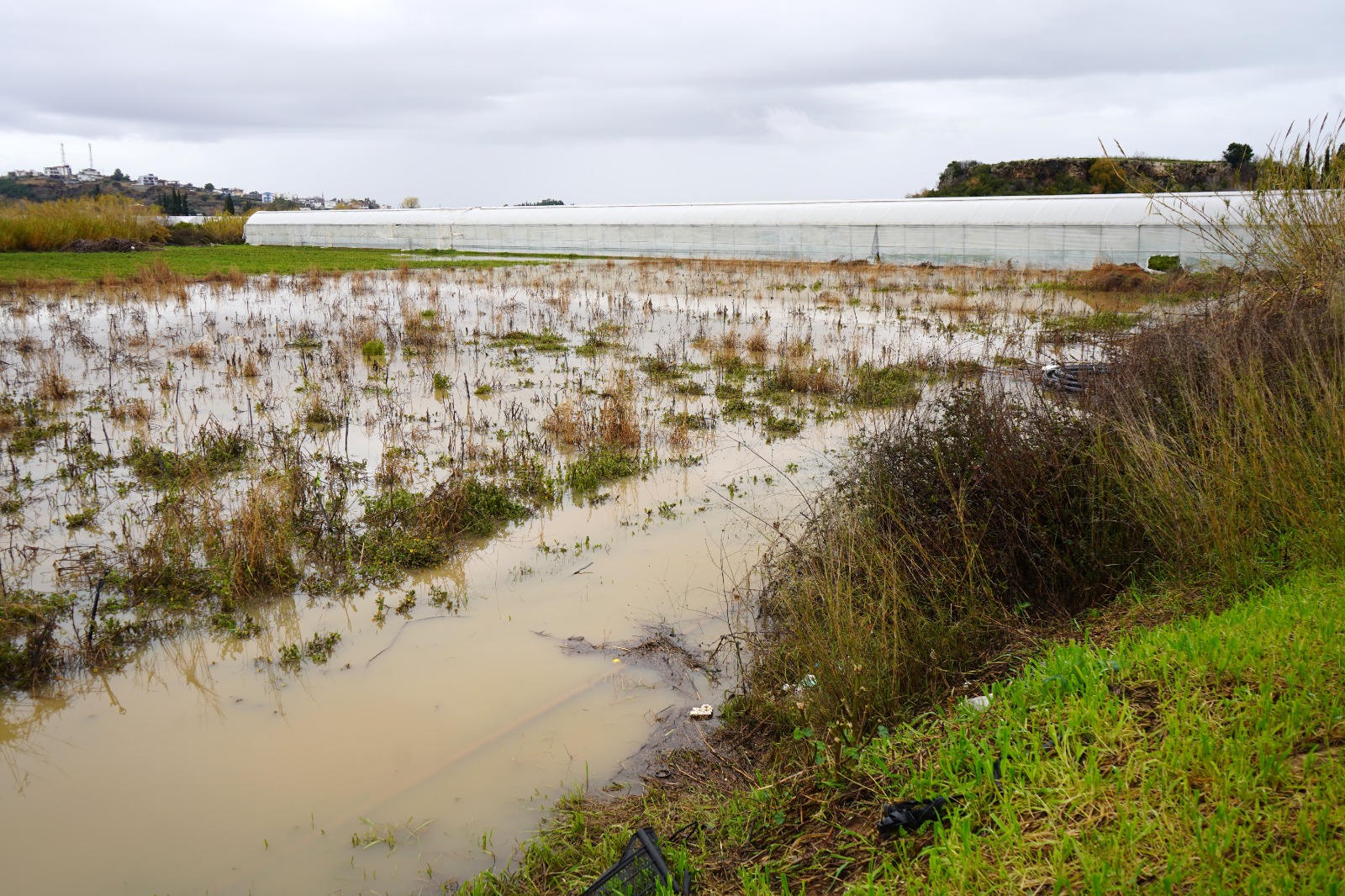 S A R I K O D L A U Y A R I L A N A N T A L Y A D A T A R I M A 1132772 336304