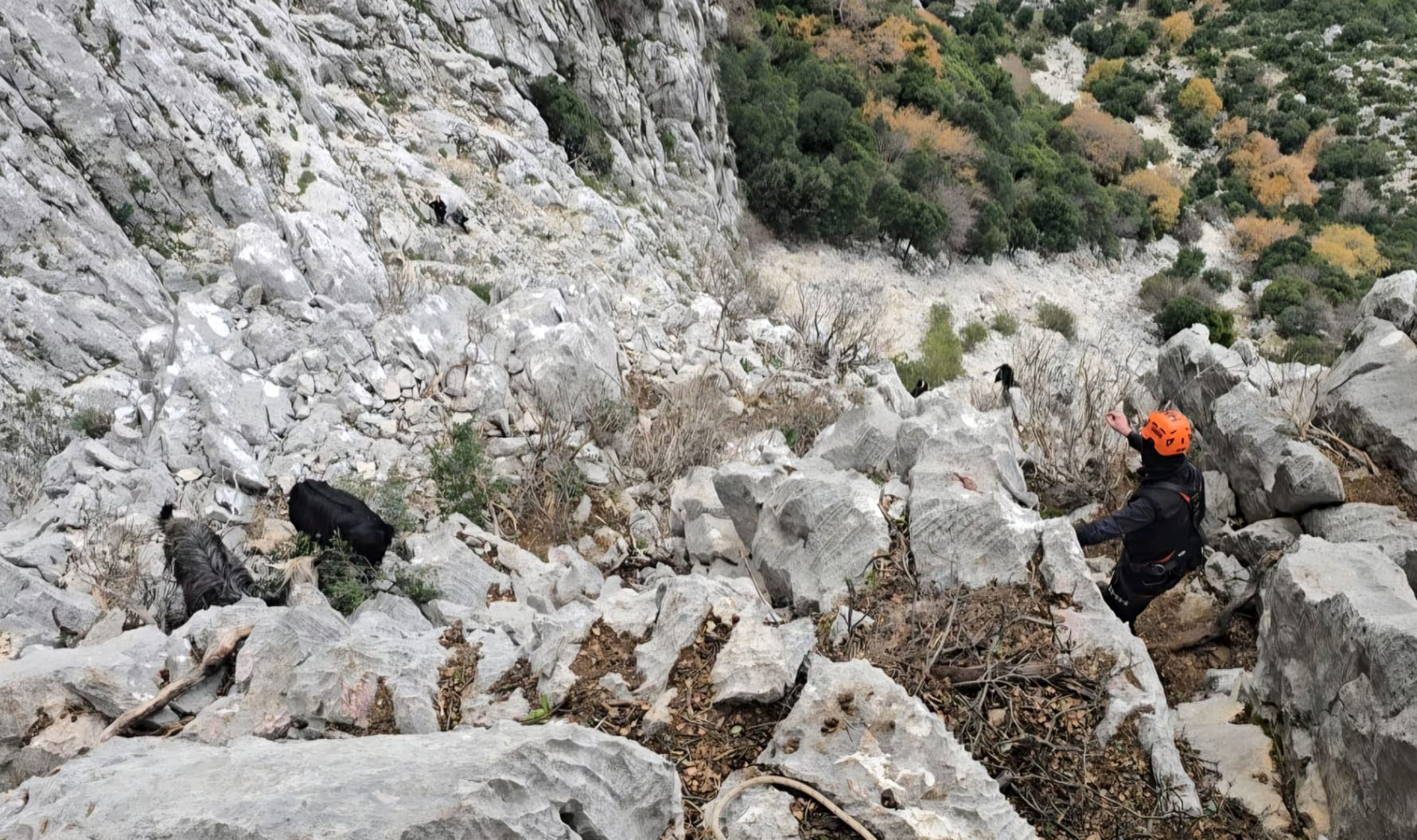 S E R I K T E D A G L I K A L A N D A K E C I K U R T A R M A O P E 1109178 329264