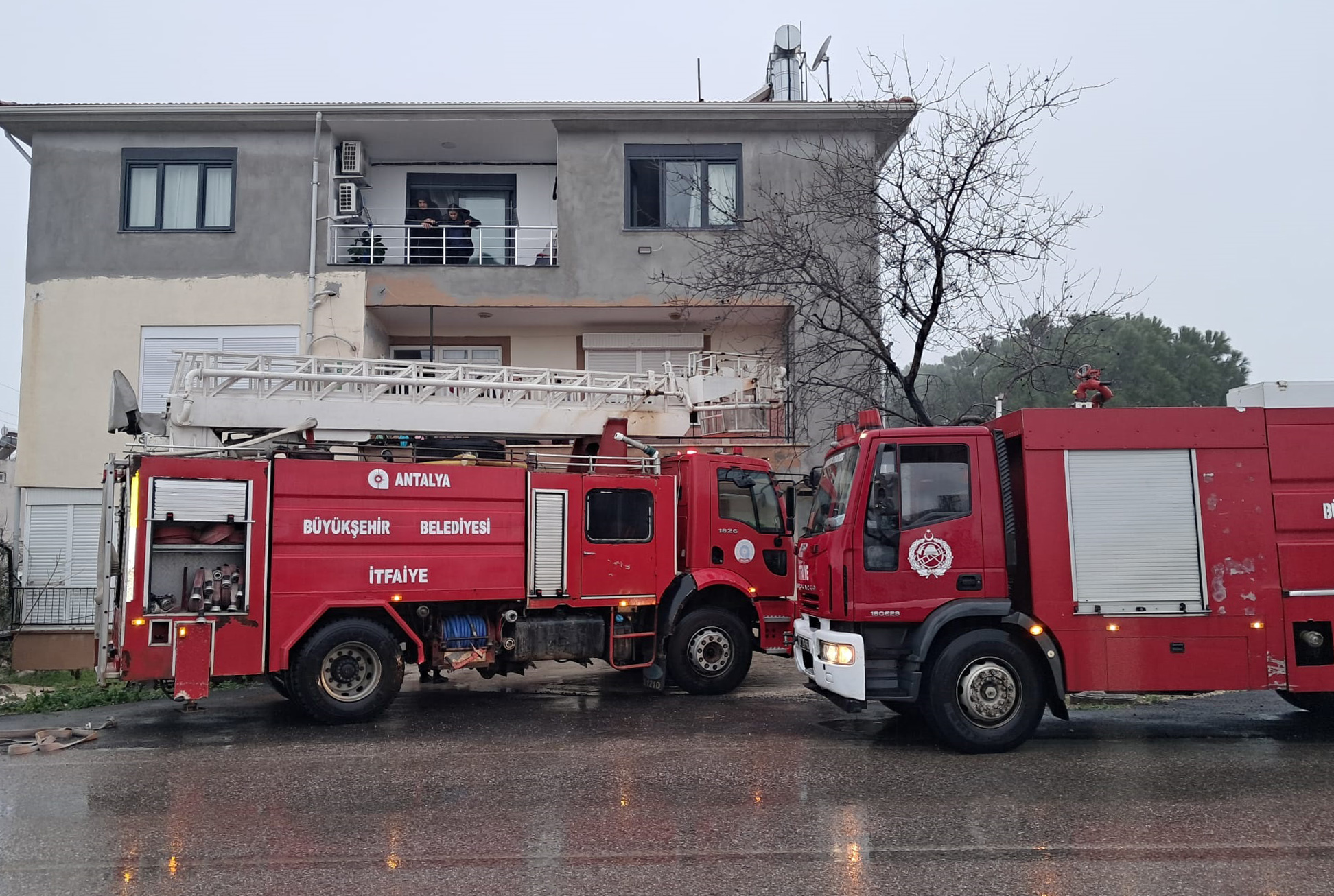 S E R I K T E E V Y A N G I N I 1142917 339355