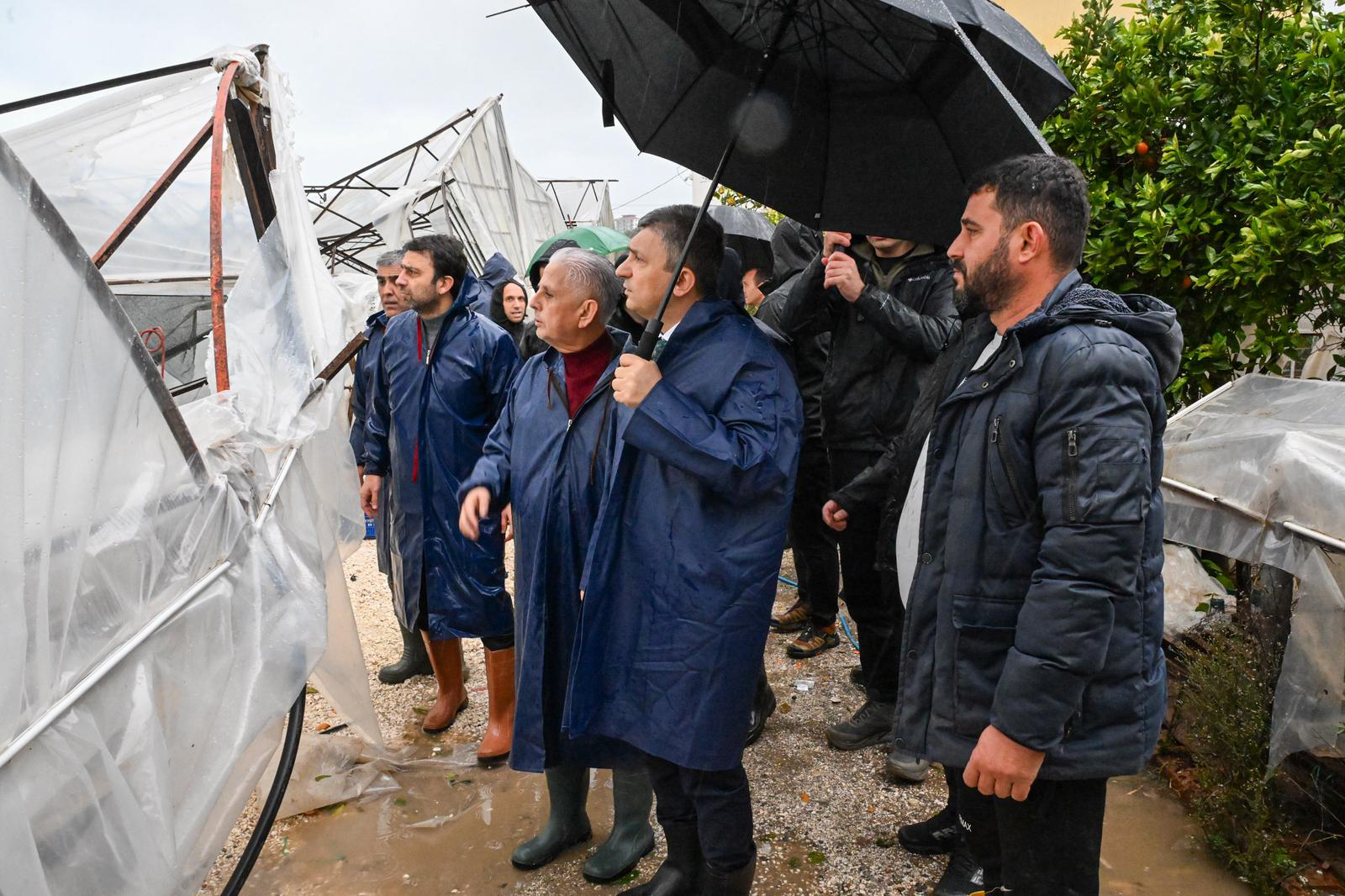 V A L I S A H I N D E M R E V E K U M L U C A’ D A Z A R A R G O 1137930 337834