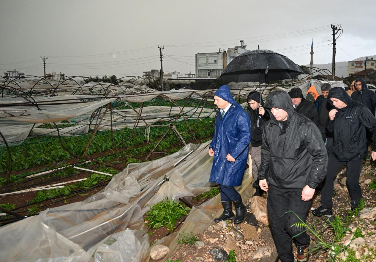 V A L I S A H I N D E M R E V E K U M L U C A’ D A Z A R A R G O 1137931 337834