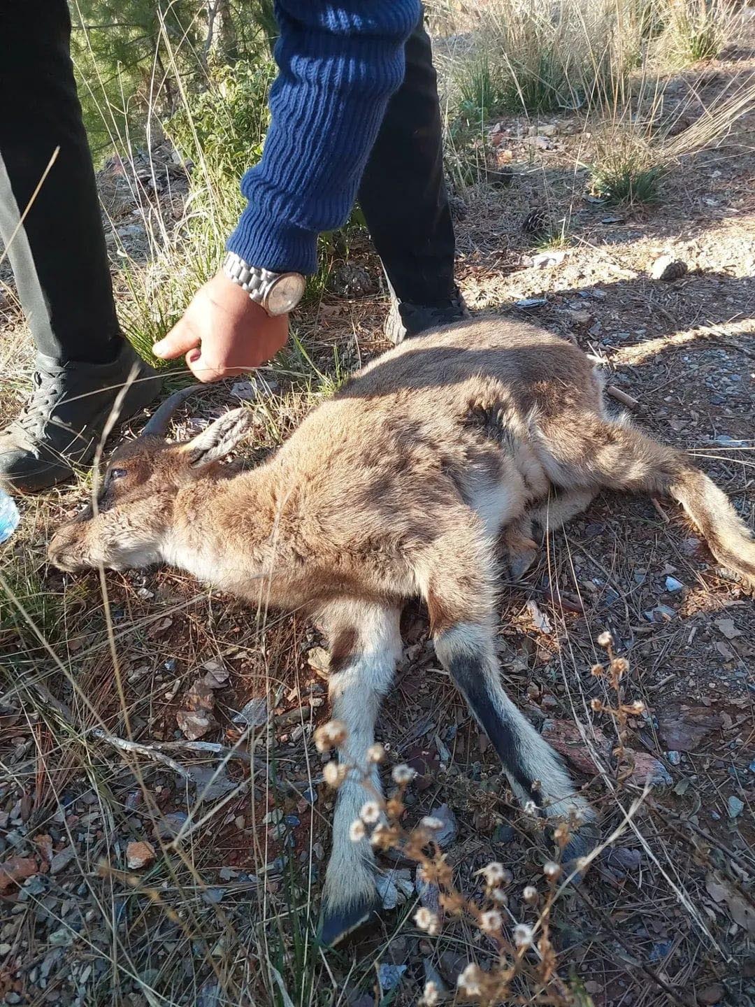 Y A B A N K E C I S I T E D A V I Y E A L I N D I 1127763 334763