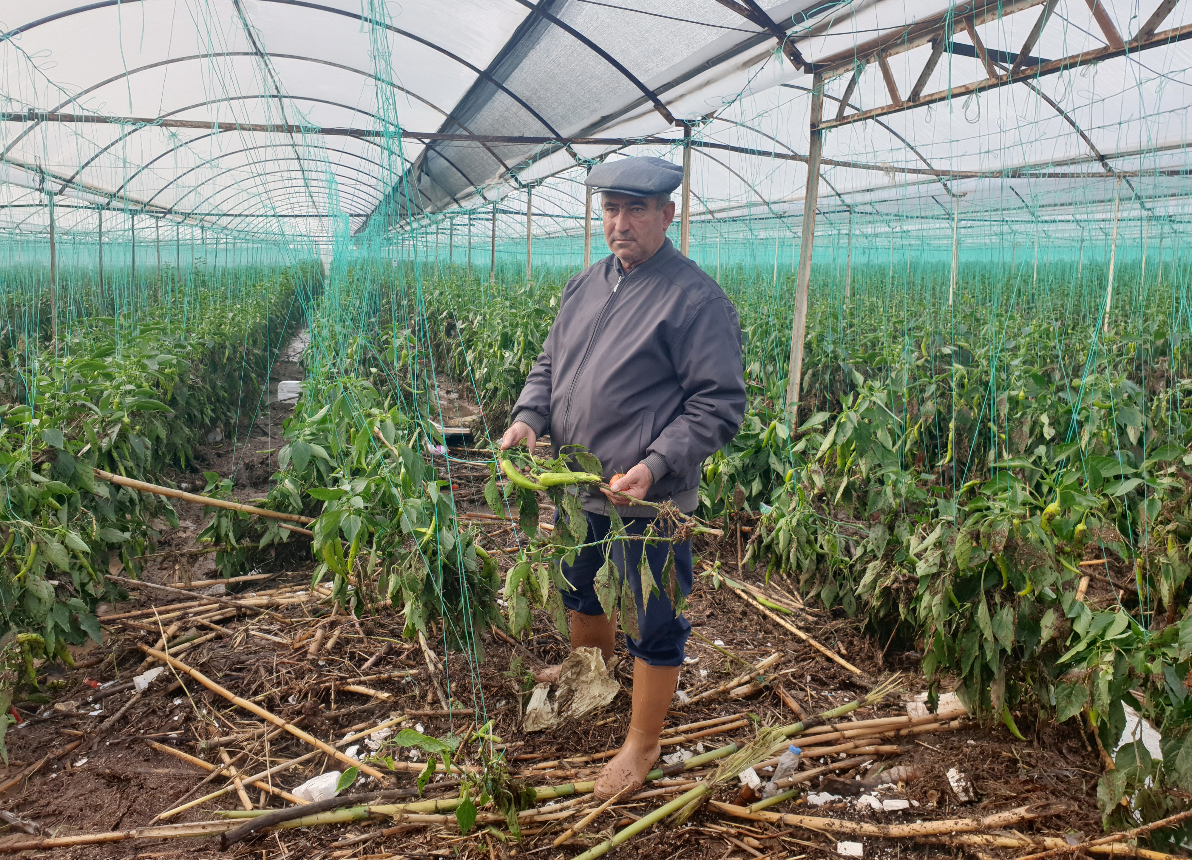 Y A G M U R V E H O R T U M S E B Z E M E Y V E Y I V U R D U 1142710 339308