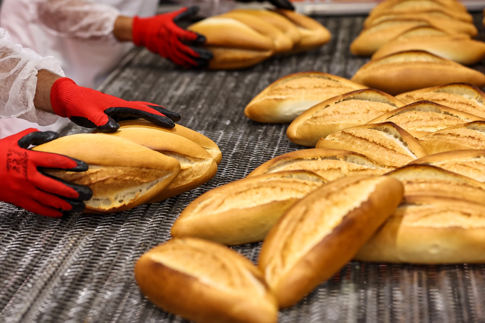 2025 Y I L I N D A H A L K E K M E K T E N 5 M I L Y O N A D E 1144312 339757