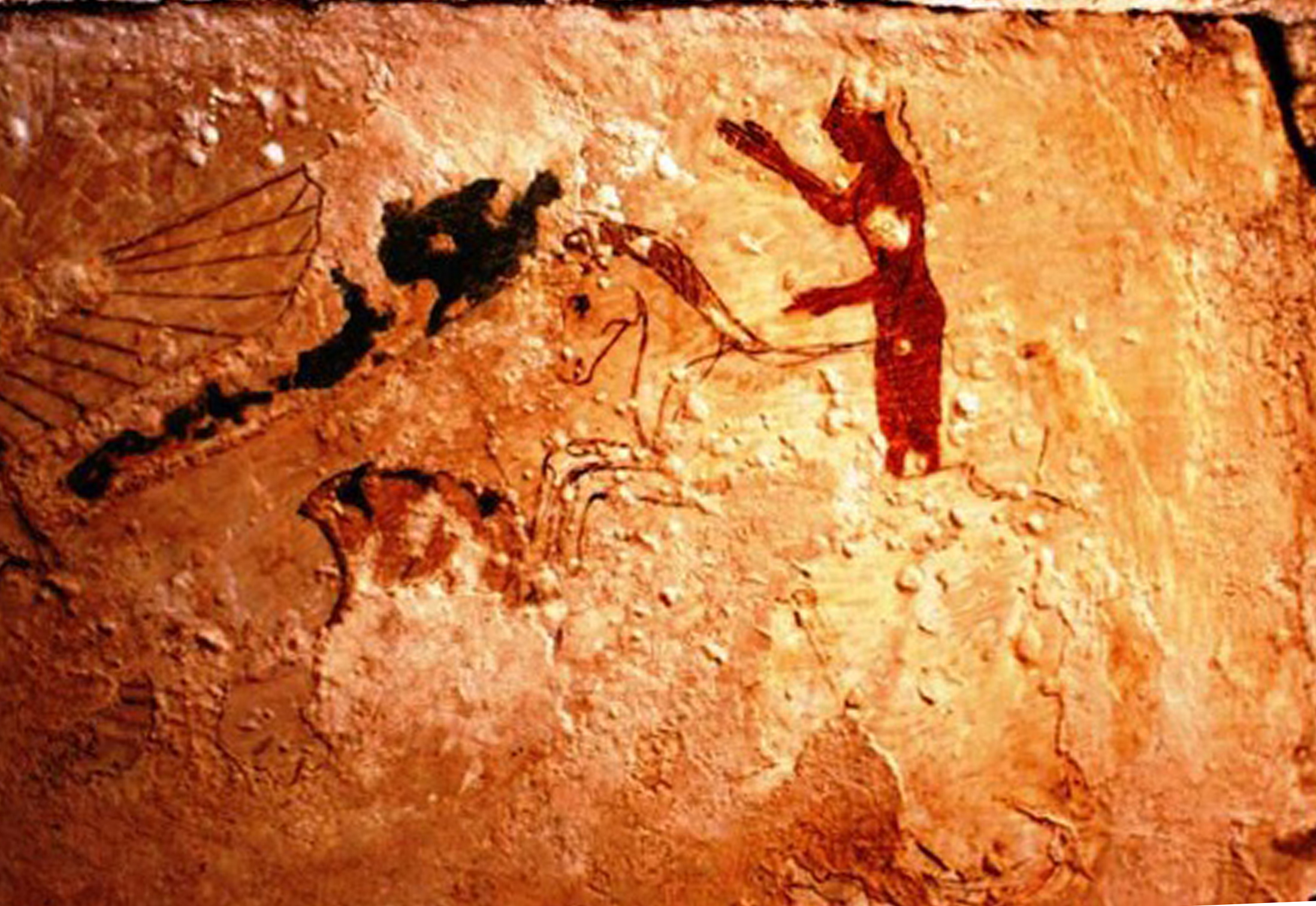 A N A D O L U A R K E O L O J I S I N I N A N N E S I N I N K U L L E 1181662 350988