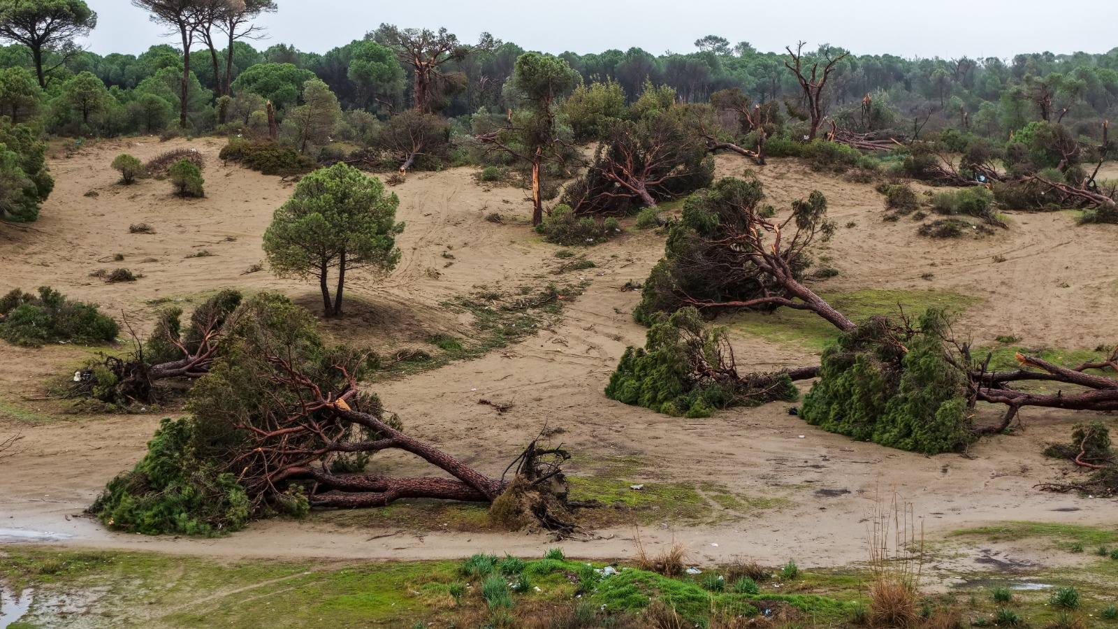 A N T A L Y A D A H O R T U M S O N R A S I E N K A Z K A L D I R I L 1145644 340160