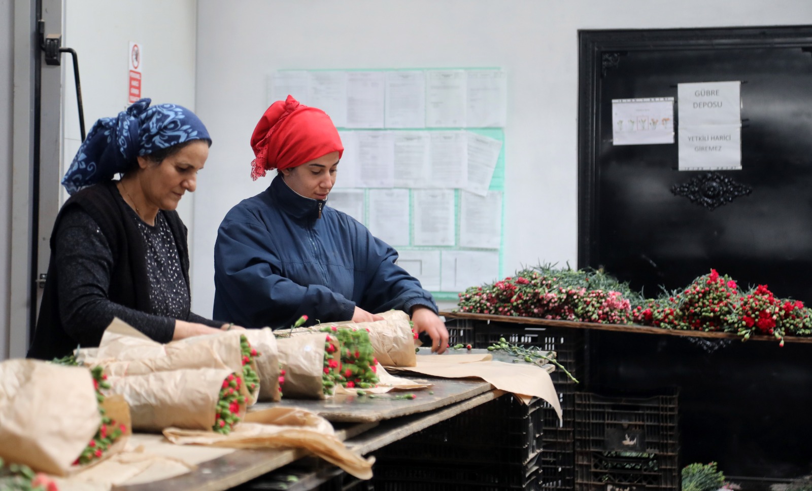 A N T A L Y A D A N S E V G I L I L E R G U N U I C I N A V R U P 1158219 343911