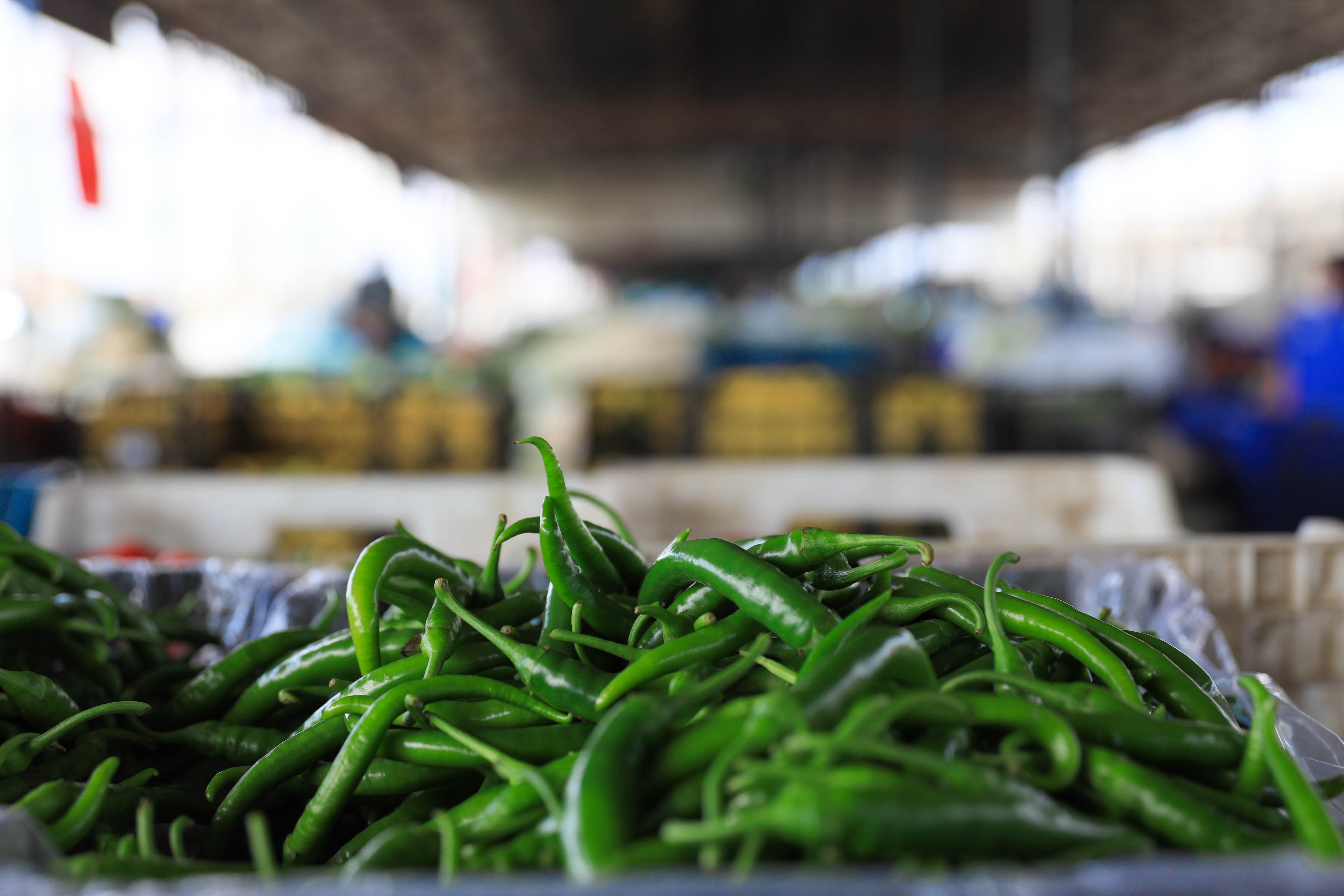 B A T I A K D E N I Z D E O C A K A Y I N D A Y A S M E Y V E S E 1161487 344968