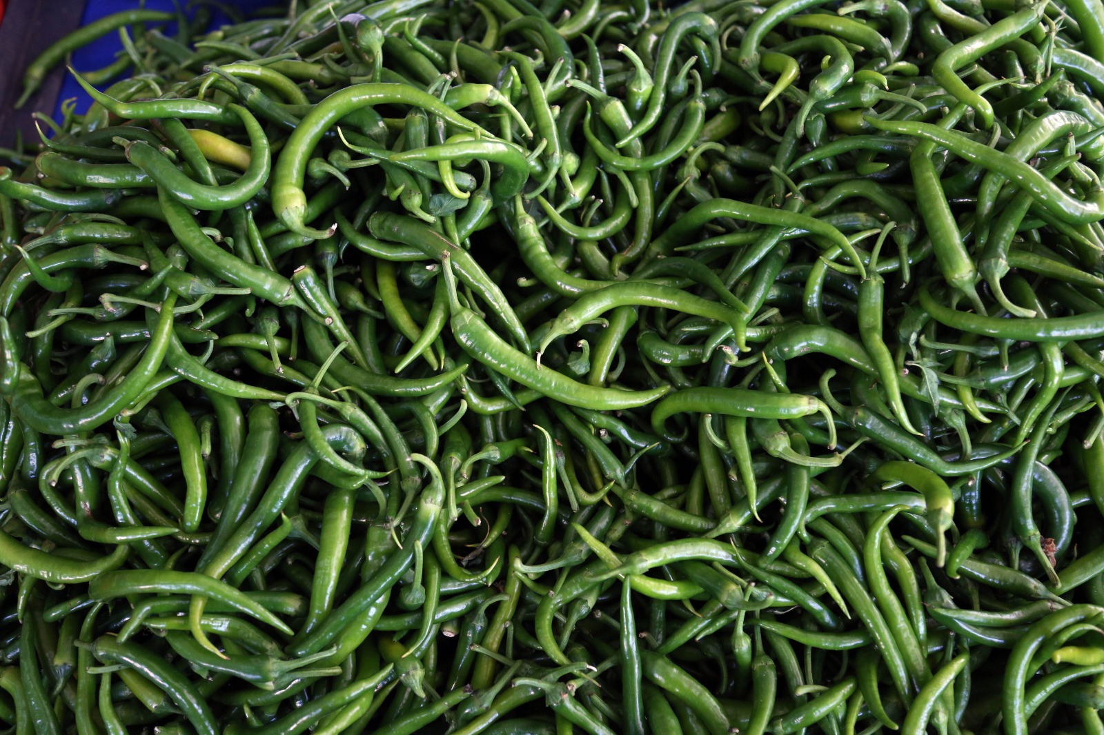 B A T I A K D E N I Z D E O C A K A Y I N D A Y A S M E Y V E S E 1161490 344968