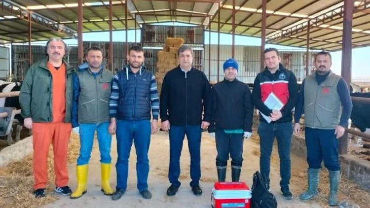 B U Y U K B A S H A Y V A N L A R A S A P A S I L A M A S I 1174738 348951