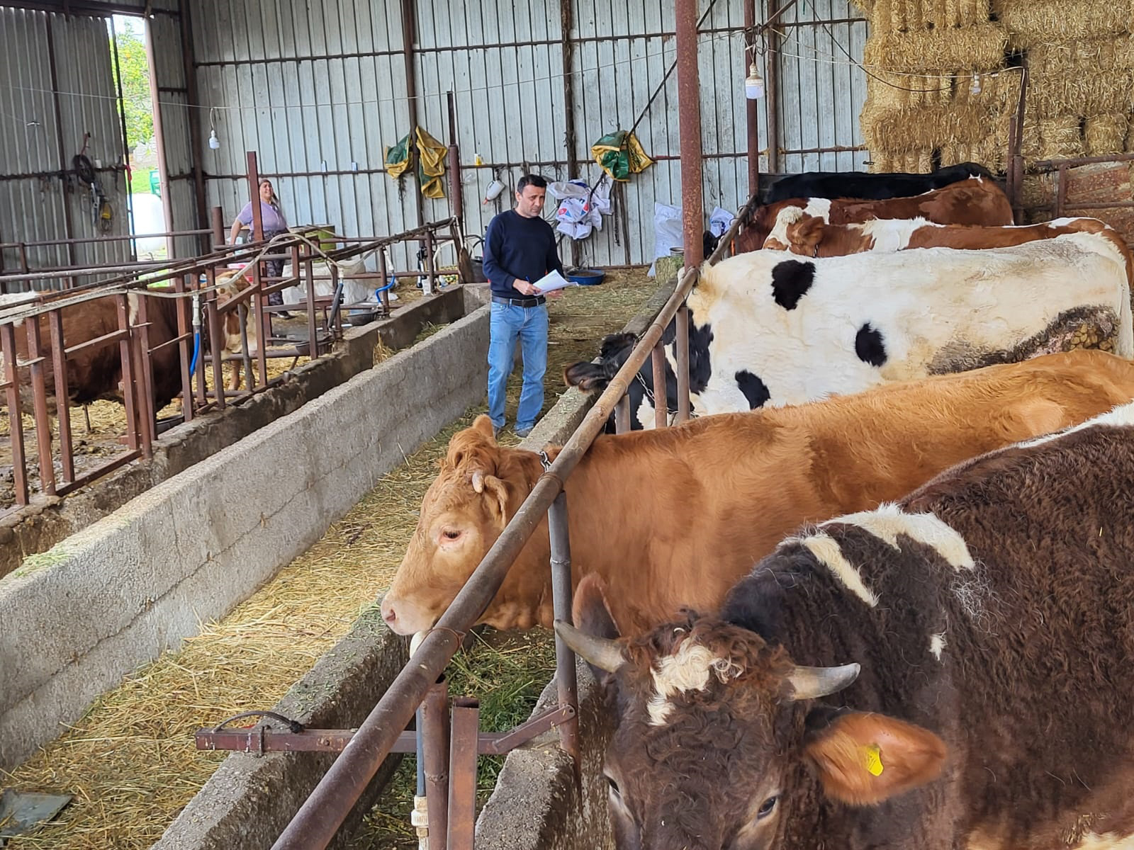 B U Y U K B A S H A Y V A N L A R A S A P A S I L A M A S I 1174740 348951