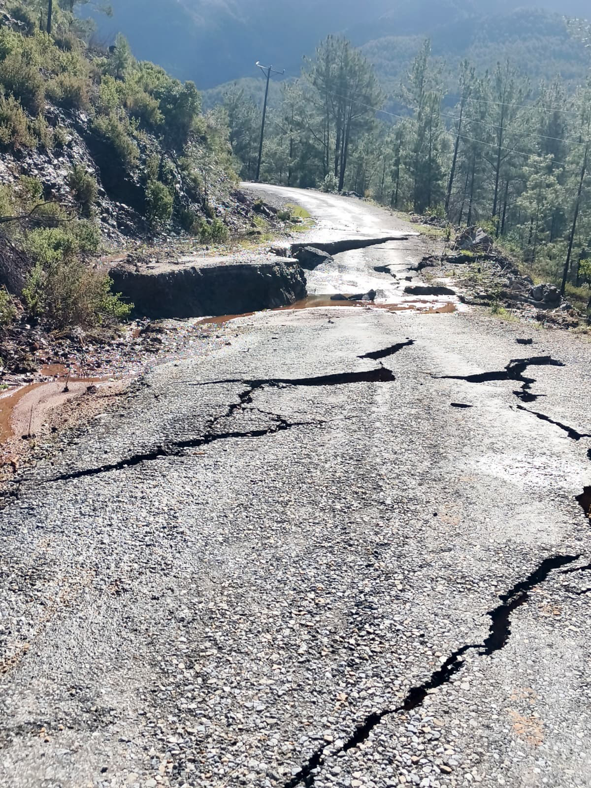 B U Y U K S E H I R A L A N Y A D A Y O L L A R I A C I K T U T M A K 1172299 348238