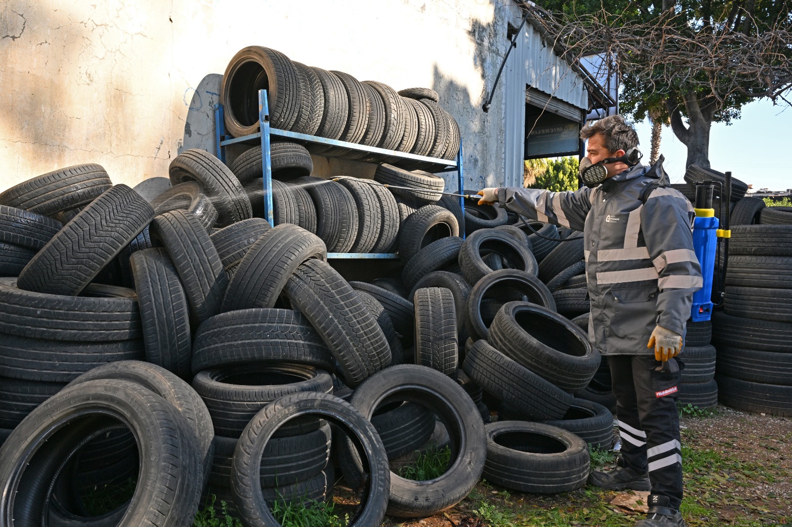 B U Y U K S E H I R’ D E N H A S E R E V E V E K T O R L E R E K A R S 1158585 344010