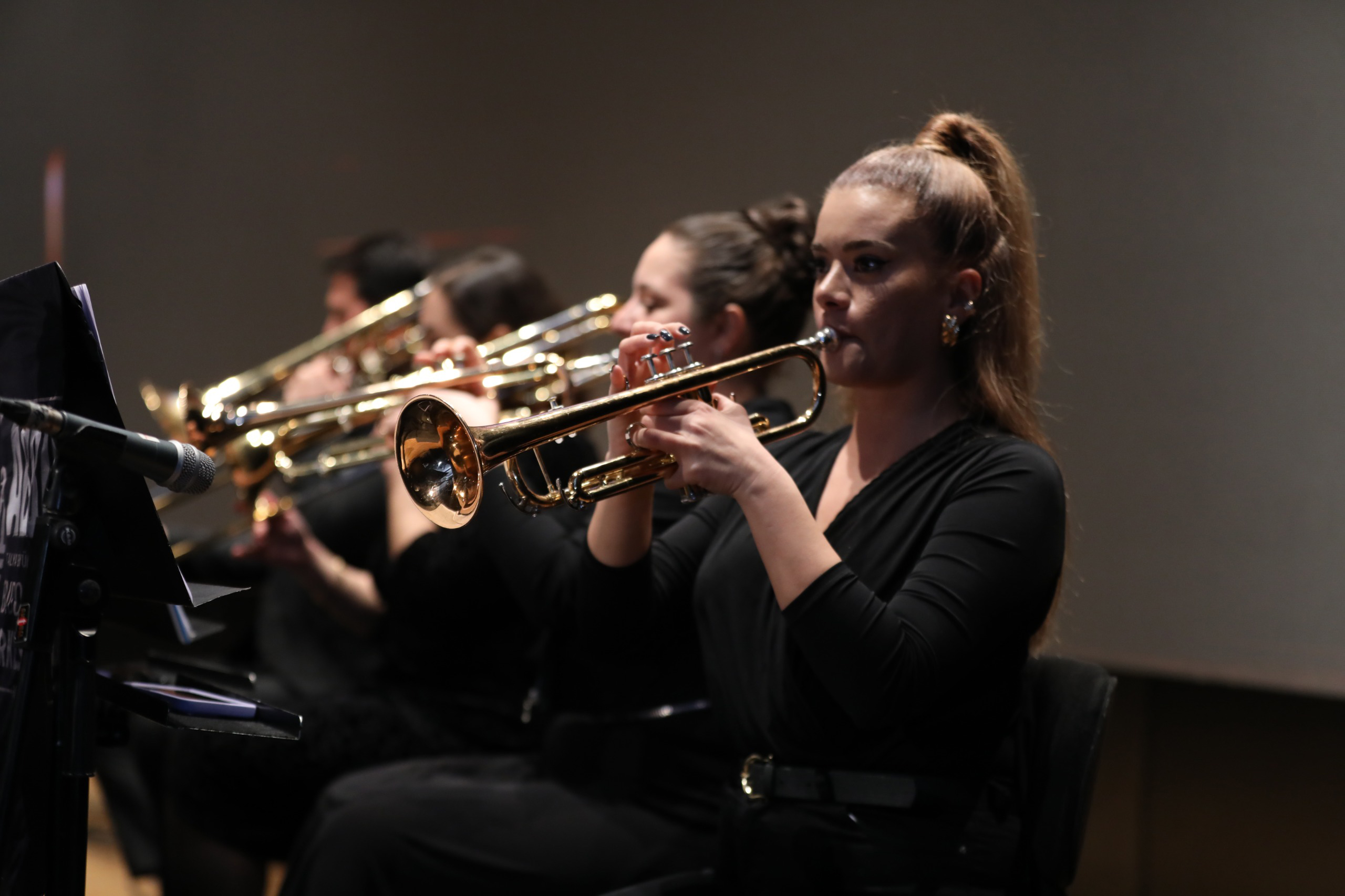 B U Y U K S E H I R D E N T U R K M U Z I G I N I N U S T A L A R I N A 1151137 341872