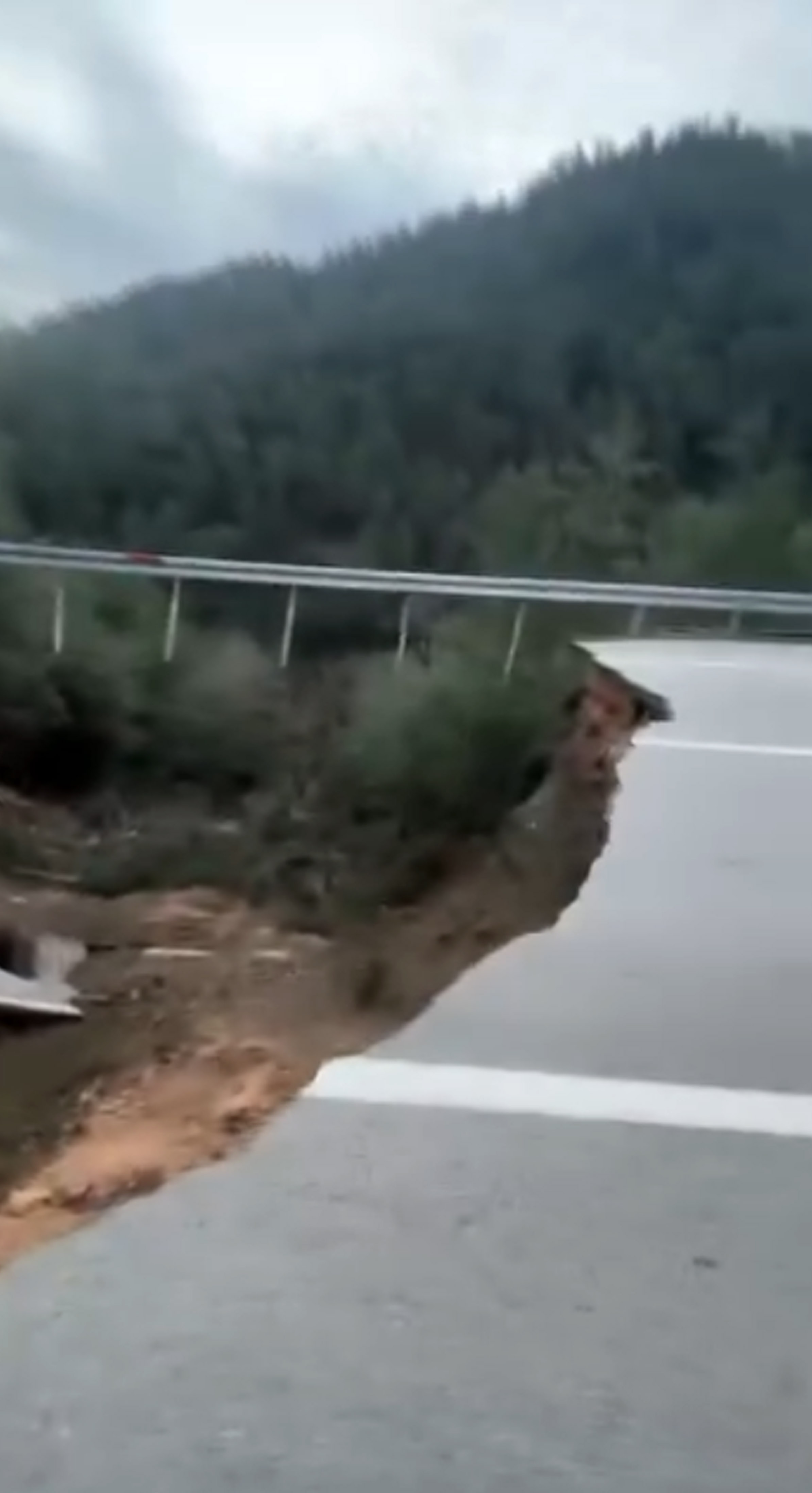 C O K E N K A R A Y O L U N D A 10 M E T R E L I K C U K U R O L U 1157631 343723