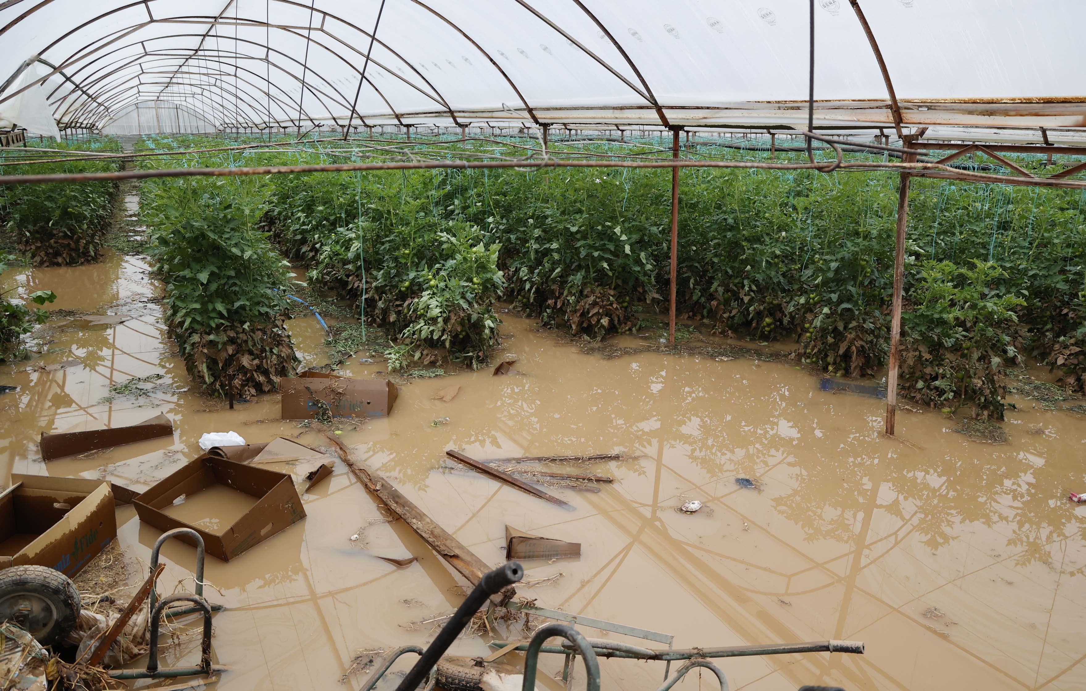 G E C E N H A F T A K I Y A G I S V E H O R T U M U N A N T A L Y A 1155058 343003