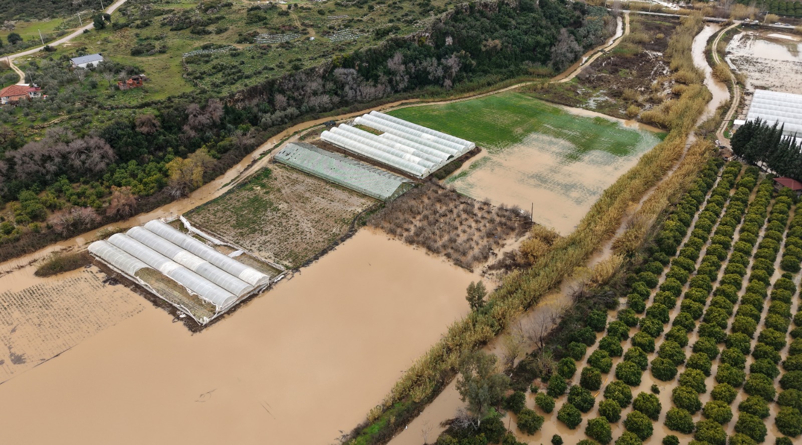 G E C E N H A F T A K I Y A G I S V E H O R T U M U N A N T A L Y A 1155060 343003