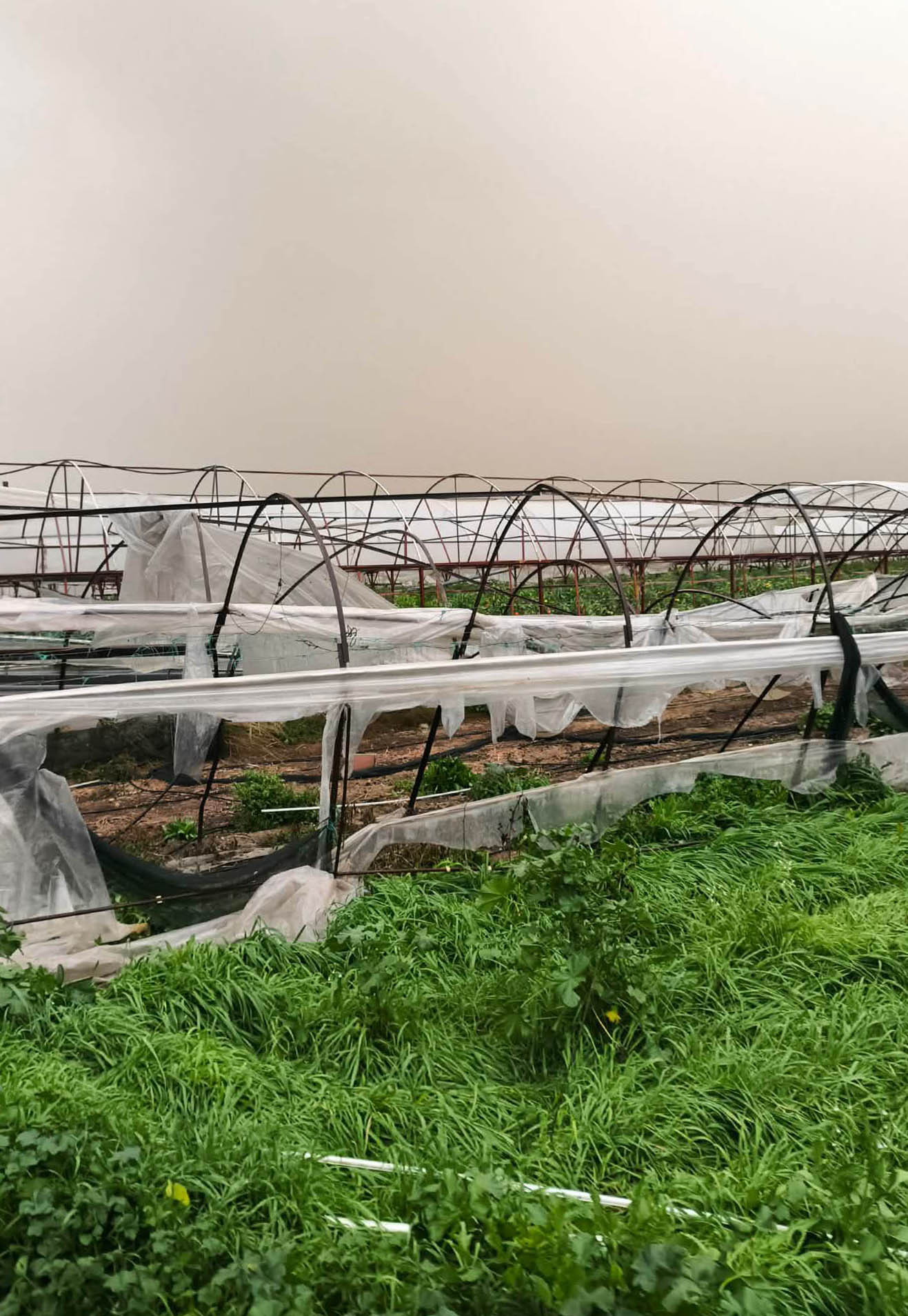 G E C E N H A F T A K I Y A G I S V E H O R T U M U N A N T A L Y A 1155062 343003