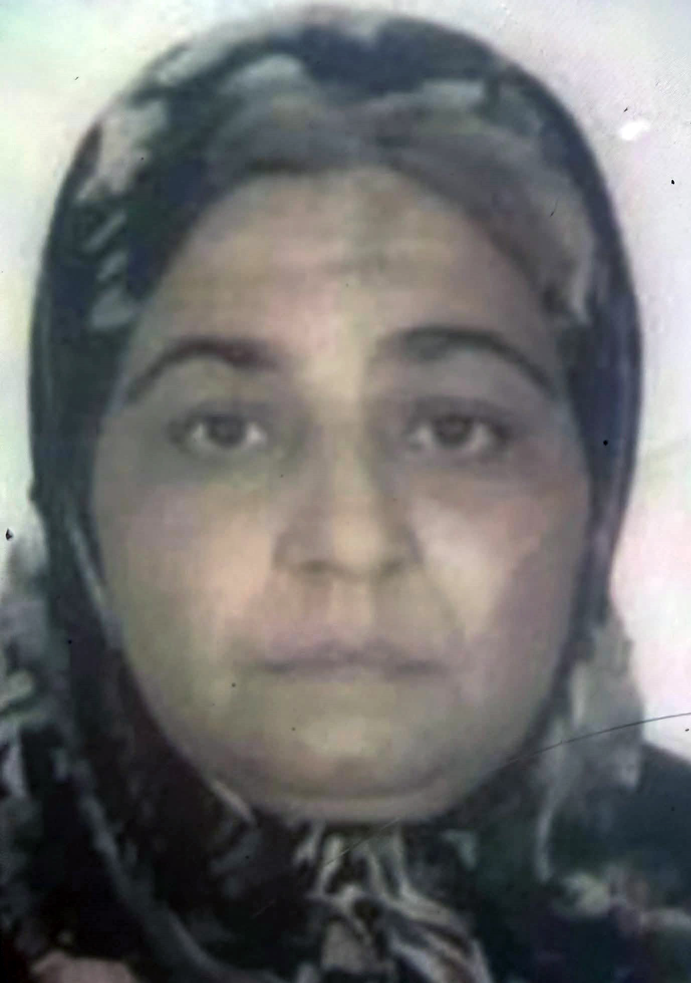 K A Y A K M E R K E Z I N E G I D E R K E N K A Z A D A H A Y A T L A 1145762 340201