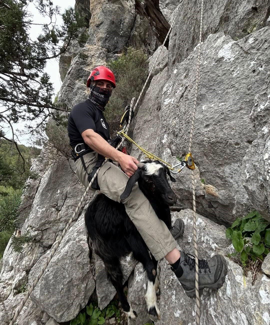 K A Y A L I K T A M A H S U R K A L A N K E C I V E K U Z U S U N U 1152223 342177