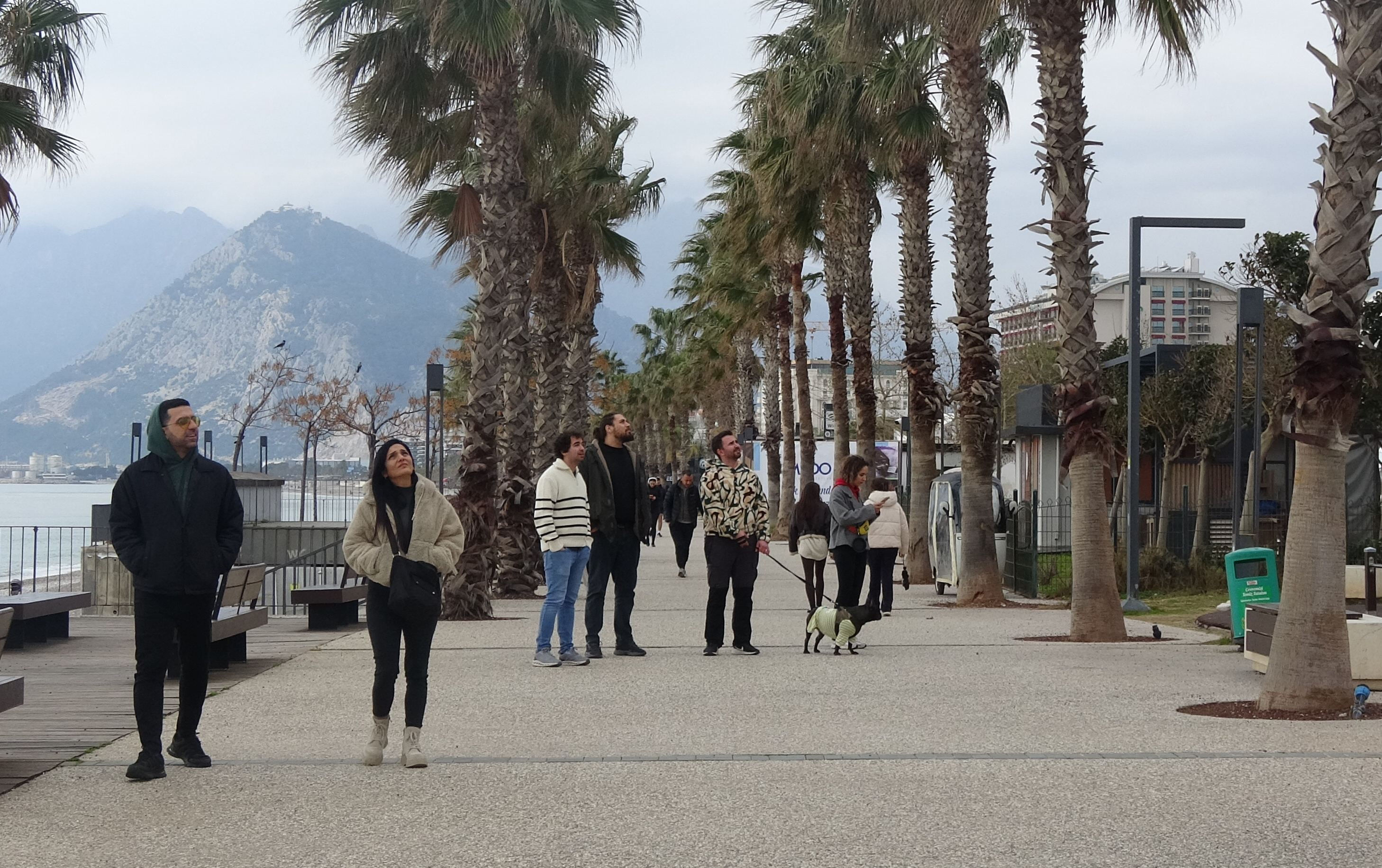 K O N Y A A L T I S A H I L I N D E L E Y L E K S U R P R I Z I 1179754 350446