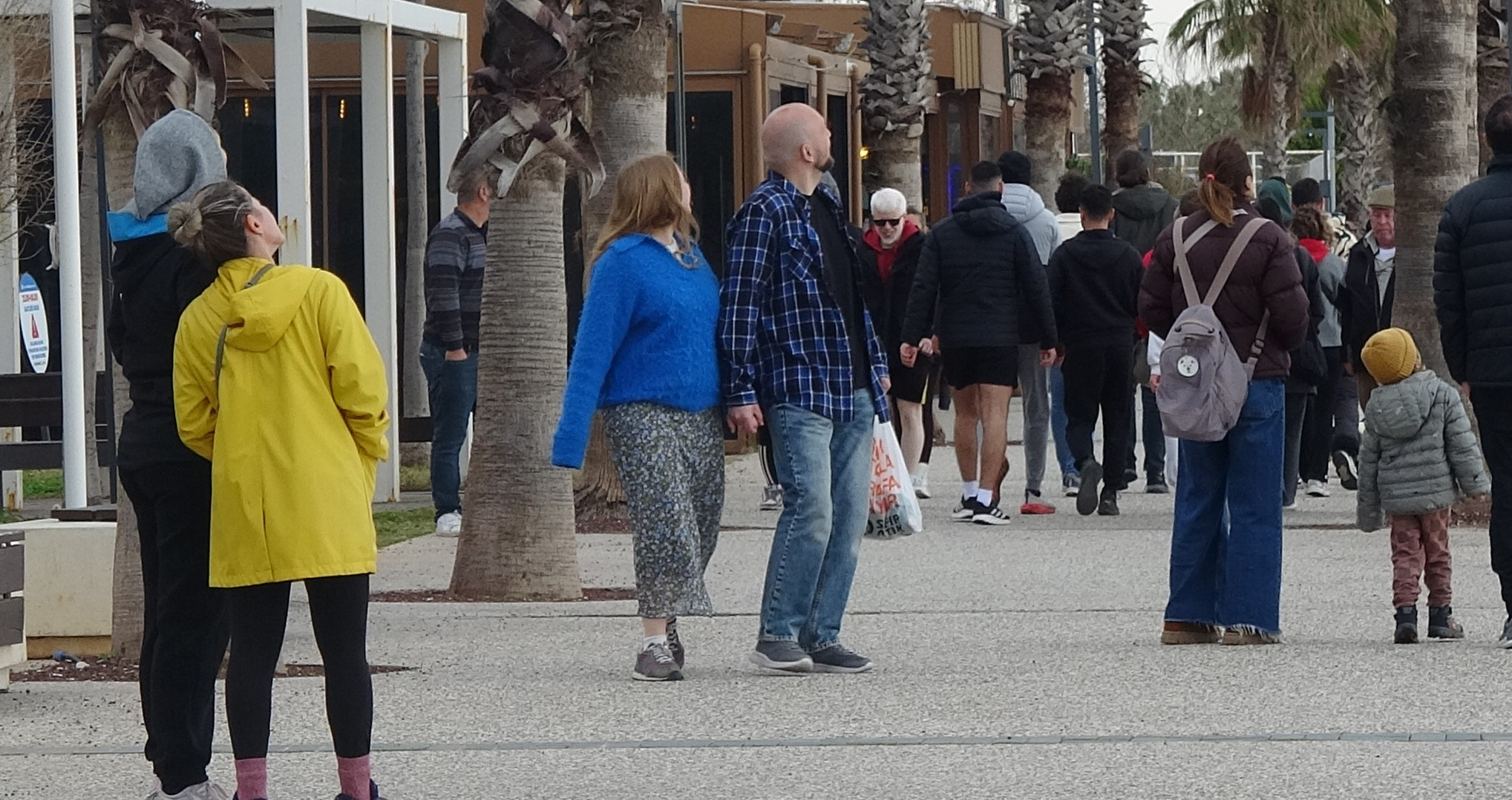 K O N Y A A L T I S A H I L I N D E L E Y L E K S U R P R I Z I 1179755 350446