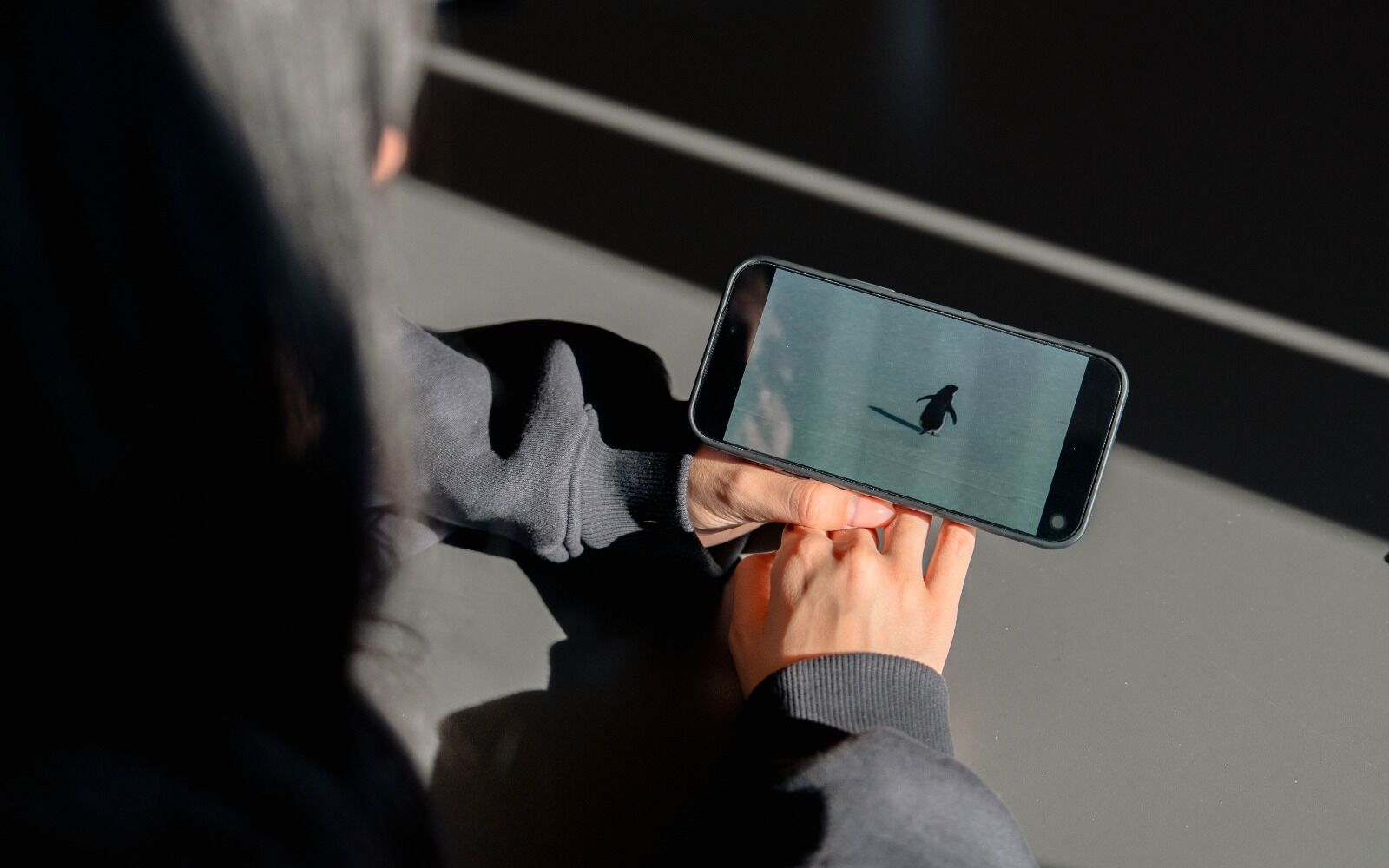 N I H I L I S T P E N G U E N E K E N D I Y A L N I Z L I G I M I Z I 1181584 350967