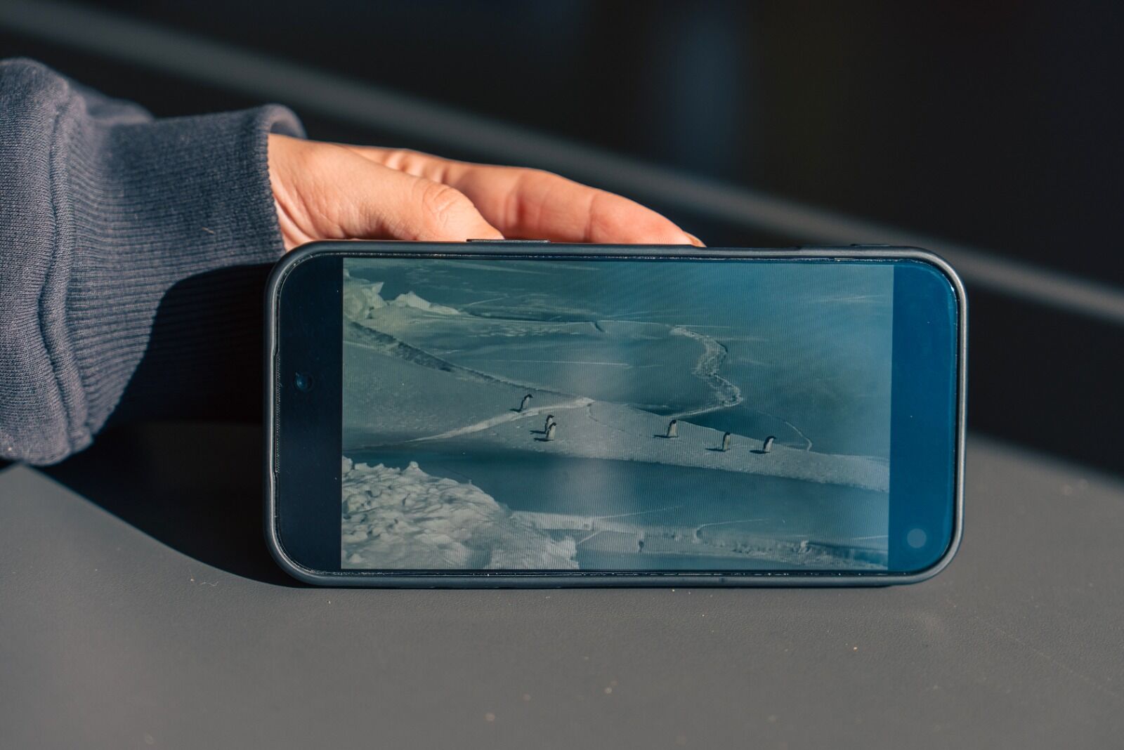 N I H I L I S T P E N G U E N E K E N D I Y A L N I Z L I G I M I Z I 1181585 350967