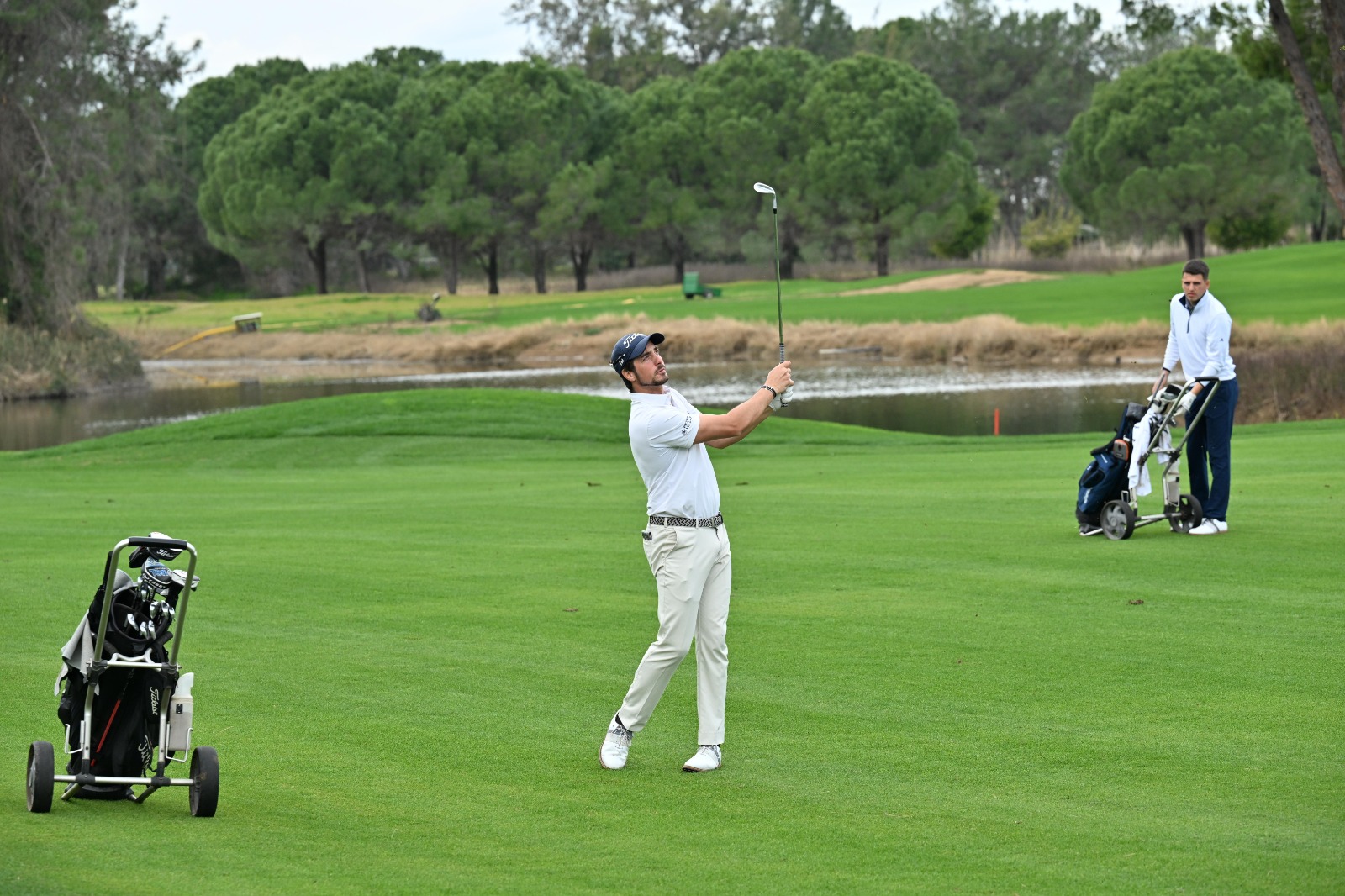 R E G N U M P R O A M B A S L A D I 1163697 345661