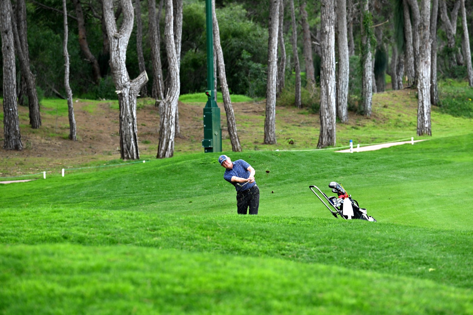 R E G N U M P R O A M B A S L A D I 1163698 345661