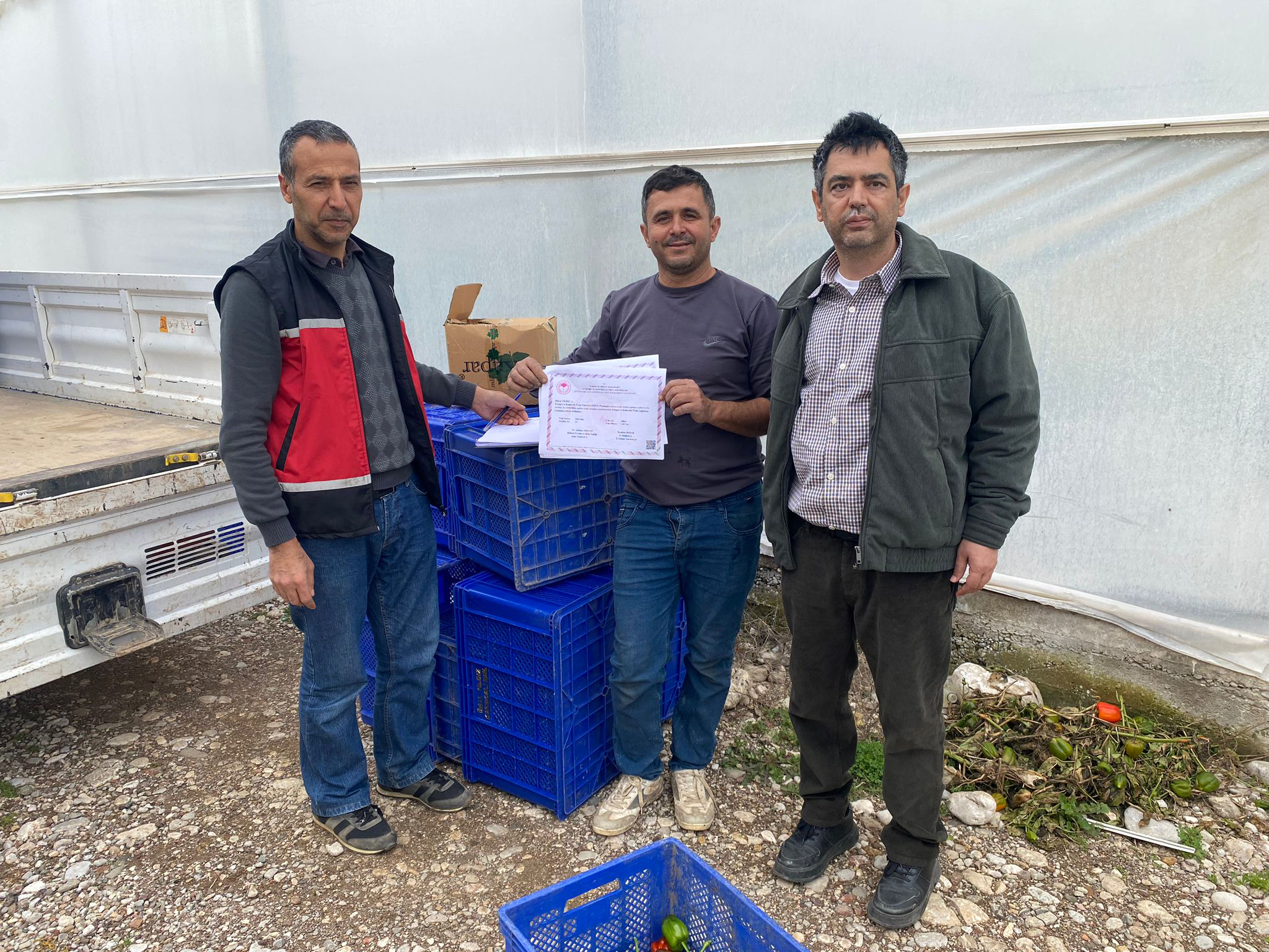 S E R I K L I U R E T I C I L E R E S E R T I F I K A 1163354 345554