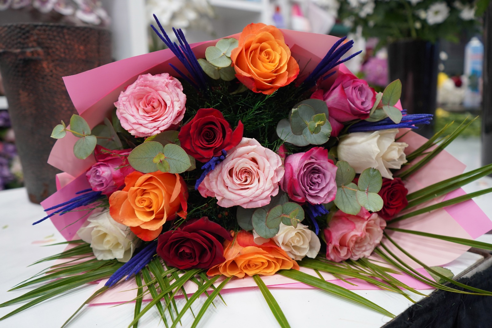 S E V G I L I L E R I C I N G U L 200 O R K I D E 2 B I N L I 1165072 346094