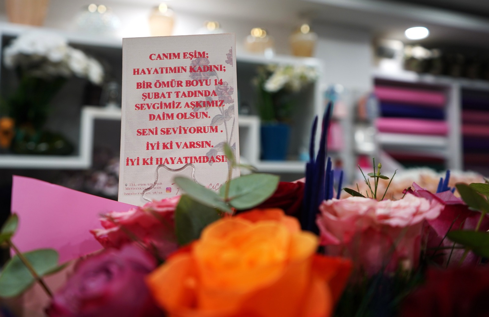 S E V G I L I L E R I C I N G U L 200 O R K I D E 2 B I N L I 1165073 346094