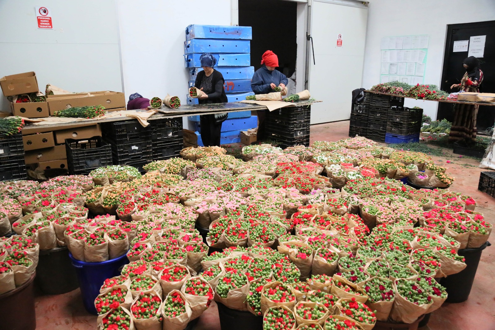 T U R K C I C E G I N D E 160 M I L Y O N D O L A R L I K I H R A C 1161463 344962