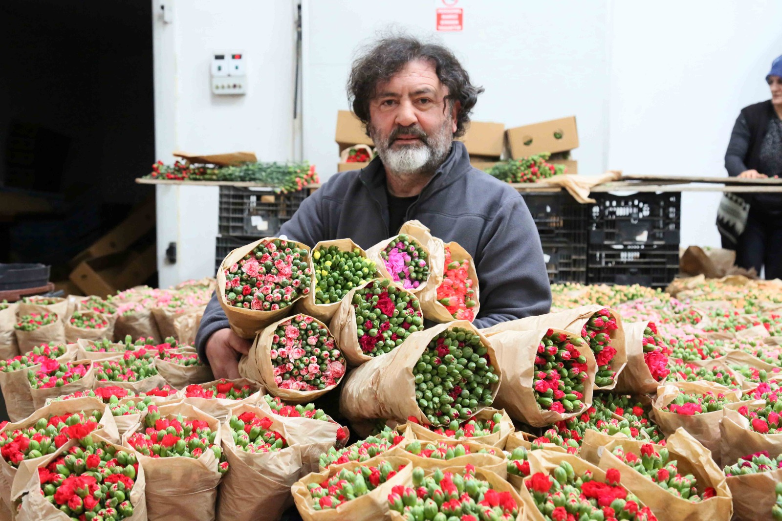 T U R K C I C E G I N D E 160 M I L Y O N D O L A R L I K I H R A C 1161466 344962