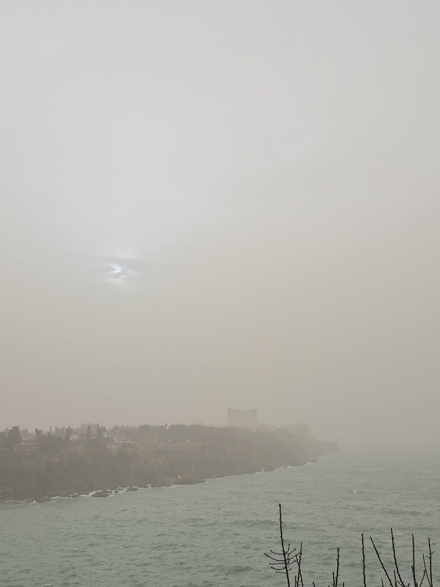 Whatsapp Image 2026 02 02 At 09.41.00