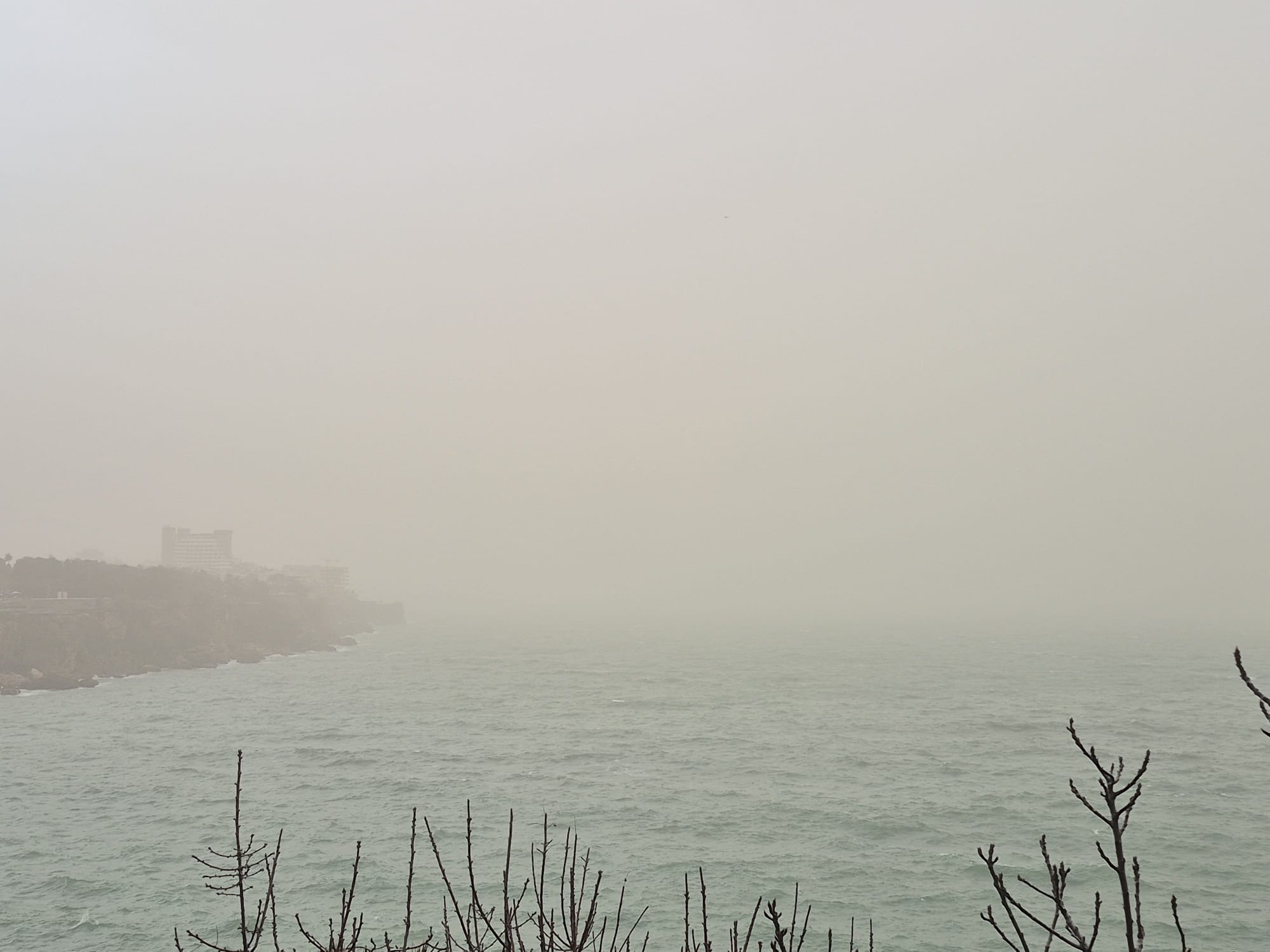 Whatsapp Image 2026 02 02 At 09.41.01