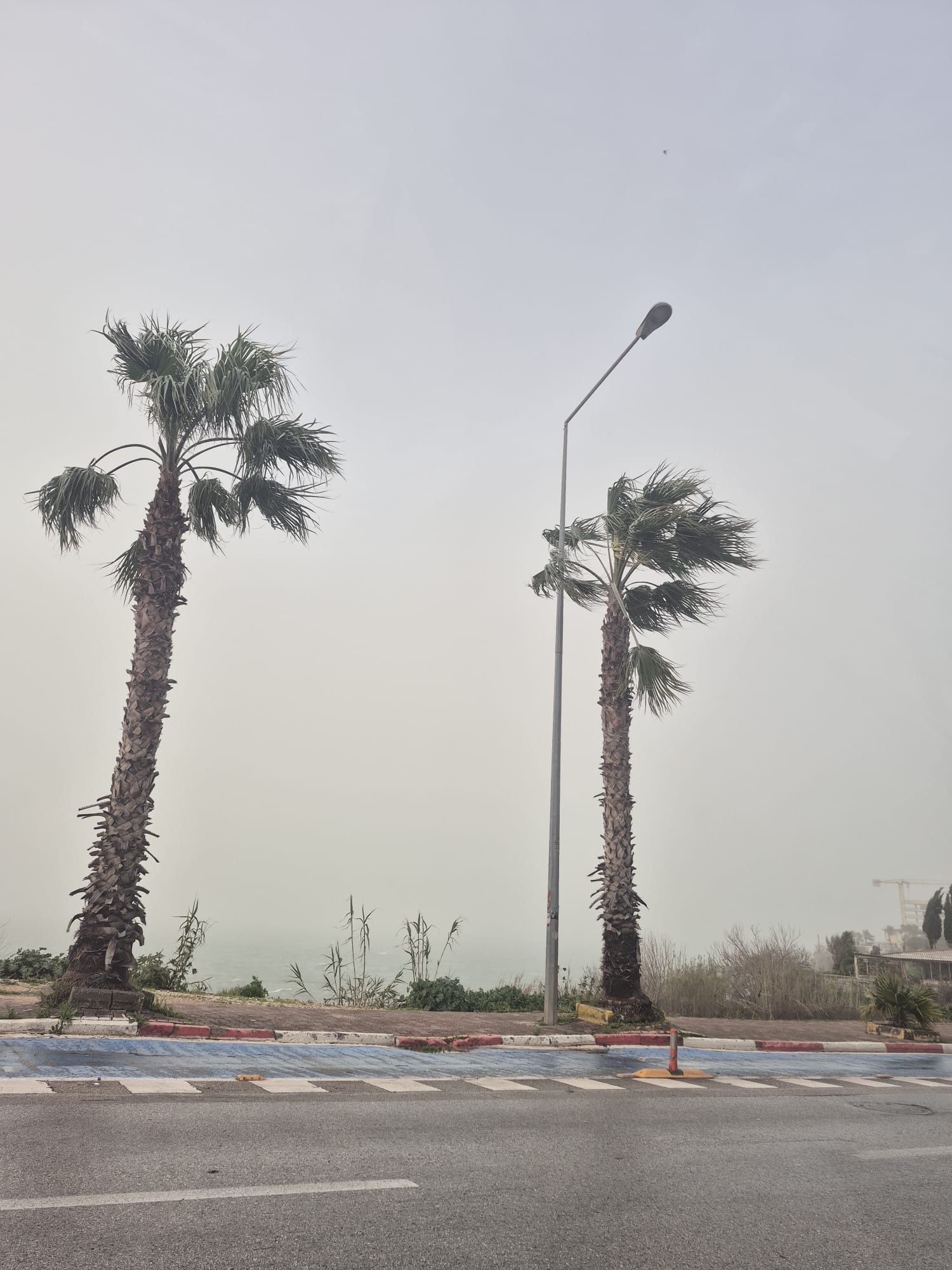 Whatsapp Image 2026 02 02 At 09.41.02 (1)