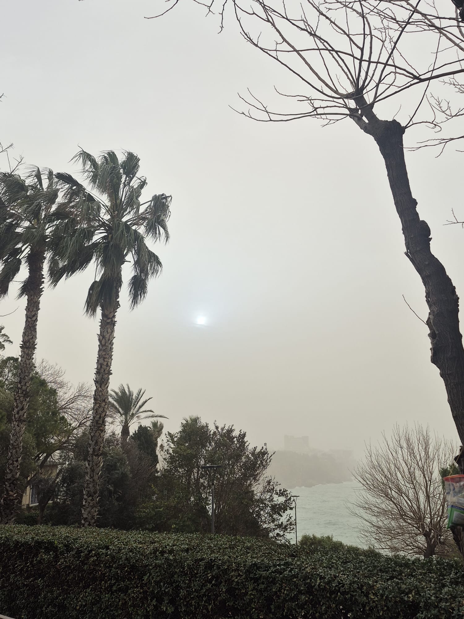 Whatsapp Image 2026 02 02 At 09.41.02