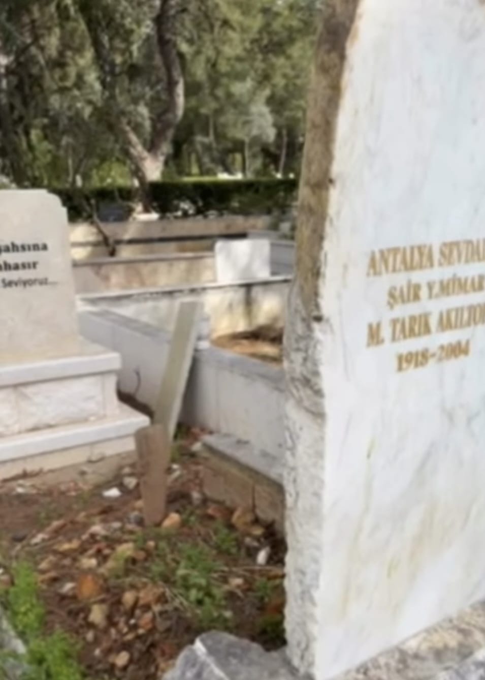 Whatsapp Image 2026 02 10 At 12.31.28 (1)