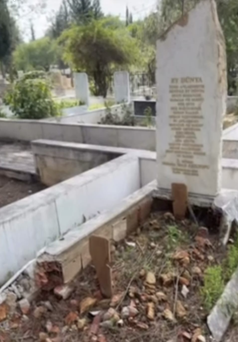 Whatsapp Image 2026 02 10 At 12.31.28