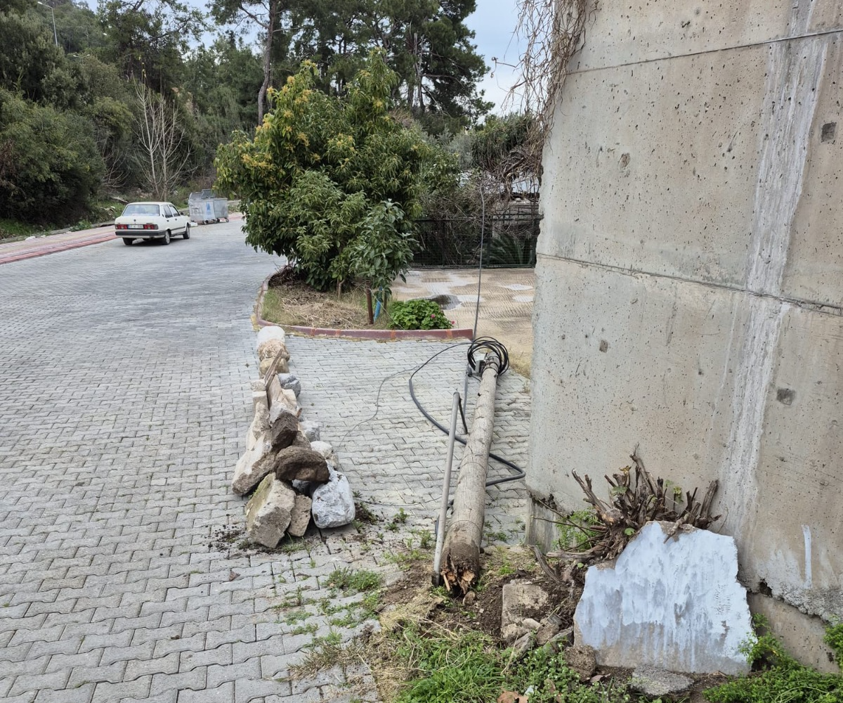 Whatsapp Image 2026 02 11 At 15.11.14 (2)