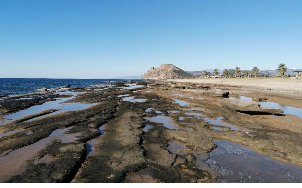 Whatsapp Image 2026 02 18 At 11.48.57