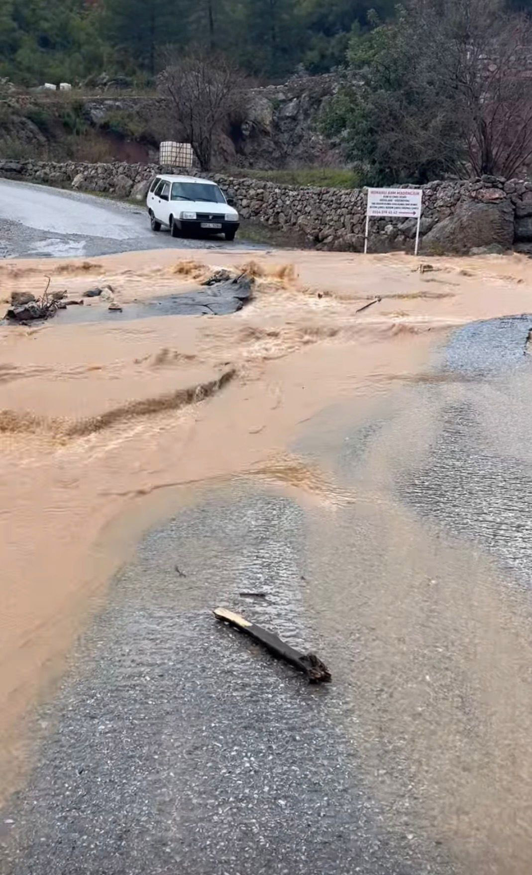 Y A G I S T A Z A R A R G O R E N Y O L O N A R I L D I 1155539 343171