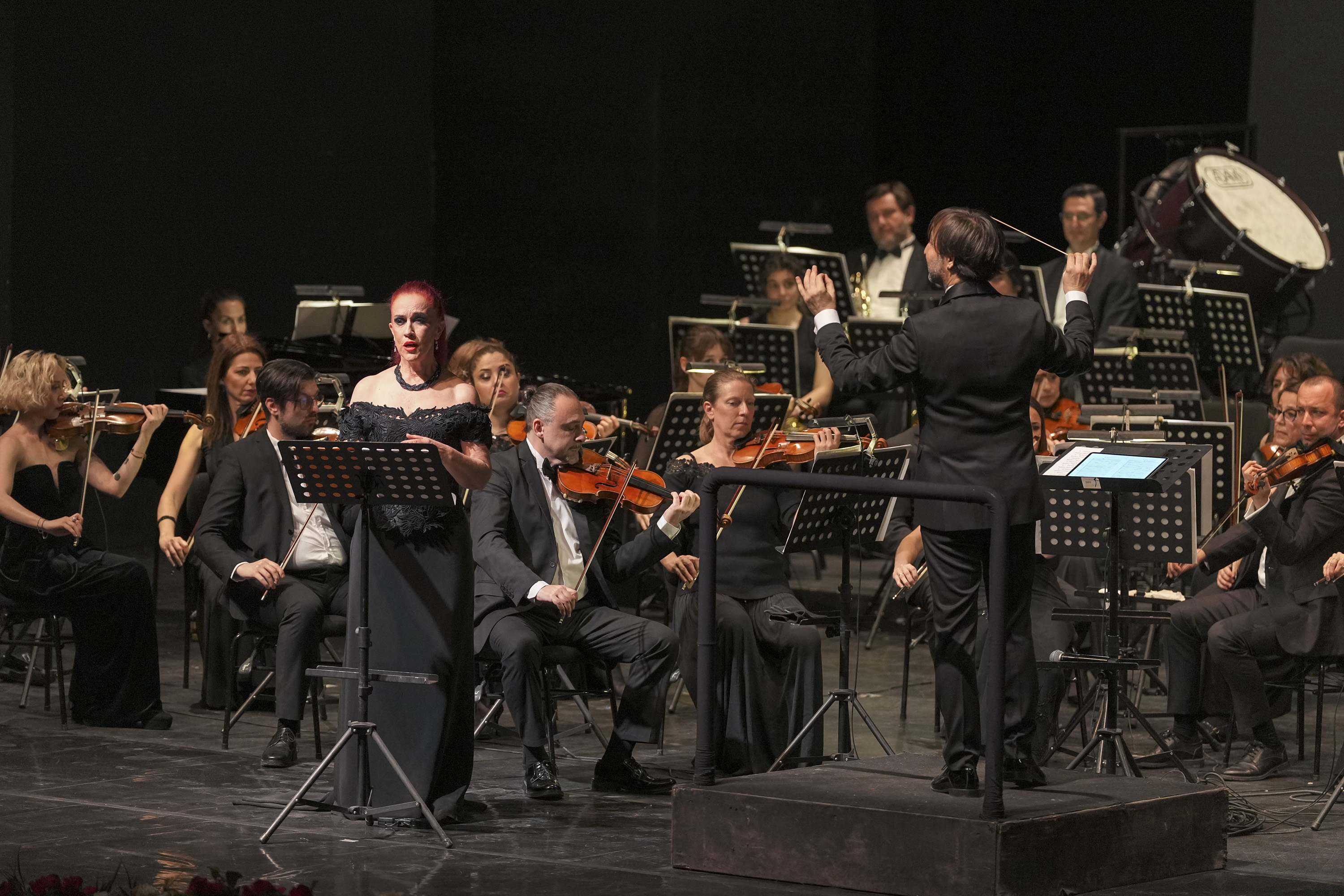 Z E Y N E P I S I K A N M A K O N S E R I 1160213 344531