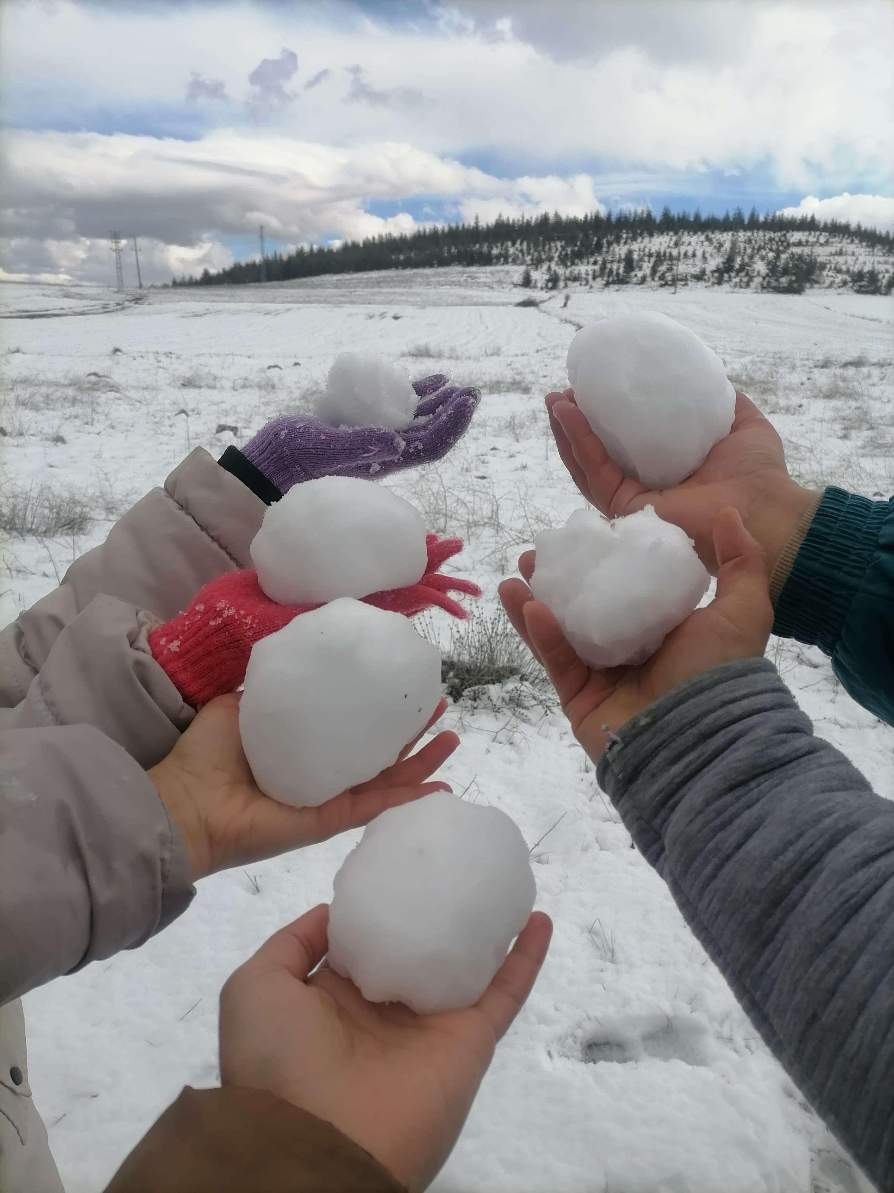 94B3376C 3Fcb 4094 96Df 1F70Eec499Db