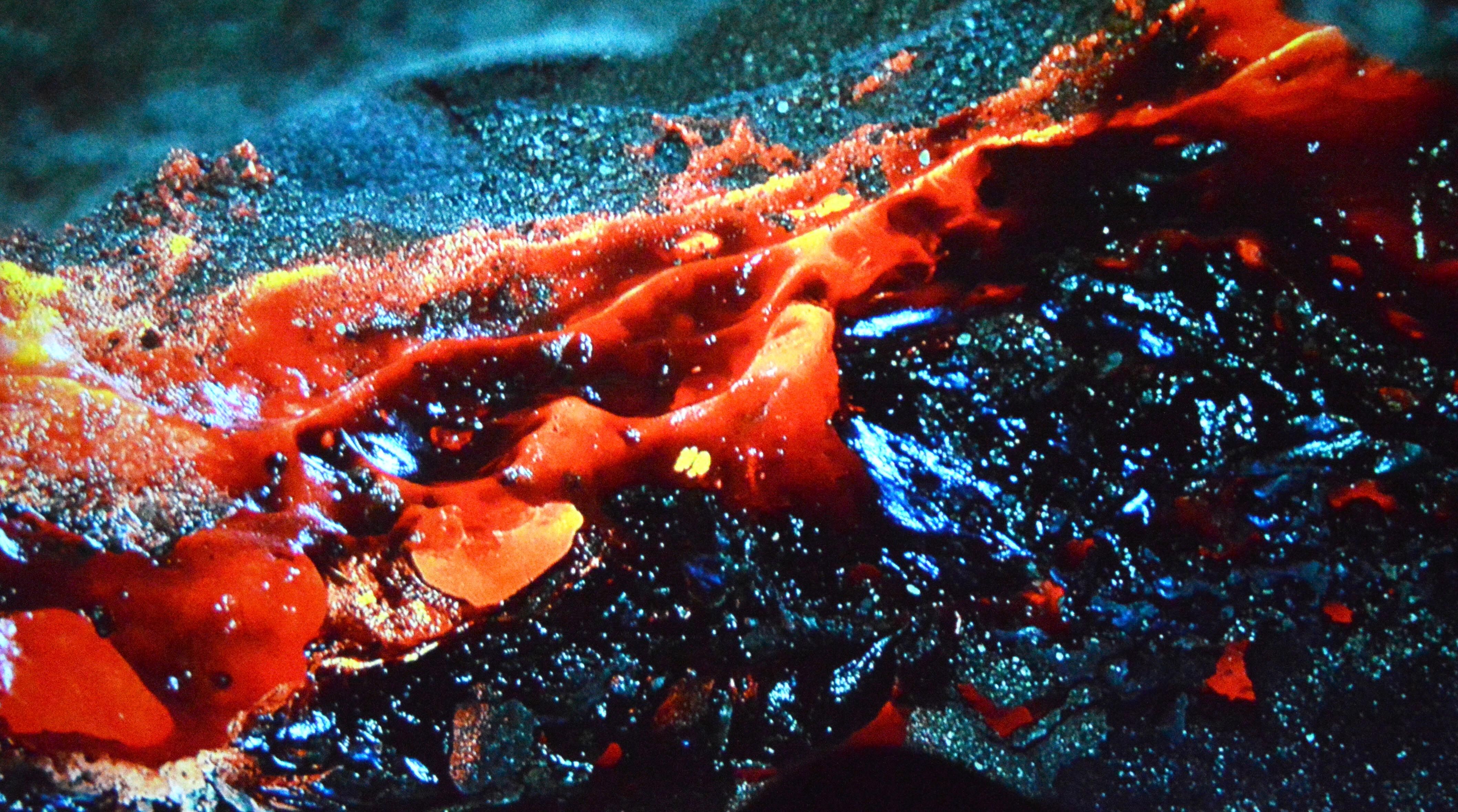 A C A R D A N C O K O Z E L K A R E L E R 1211150 360165