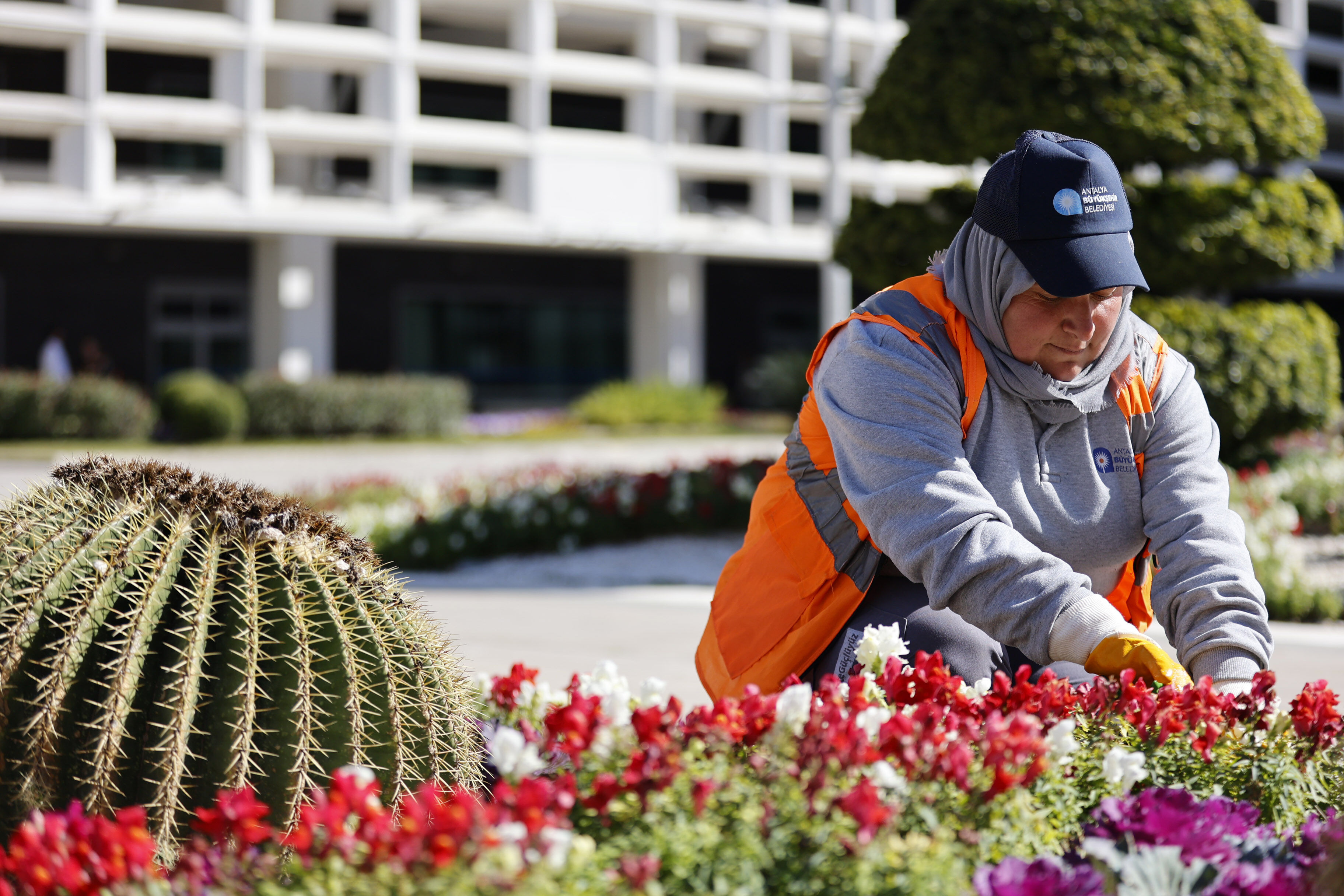 A N T A L Y A B U Y U K S E H I R D E 3 B I N K A D I N P E R S O N 1200109 356916