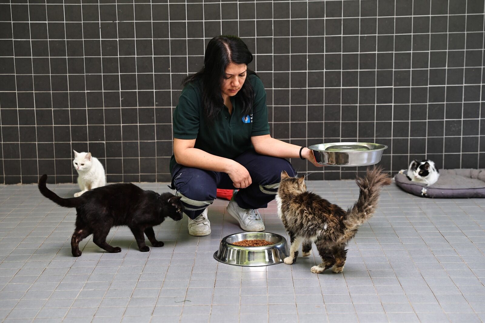 A N T A L Y A B U Y U K S E H I R D E 3 B I N K A D I N P E R S O N 1200114 356916