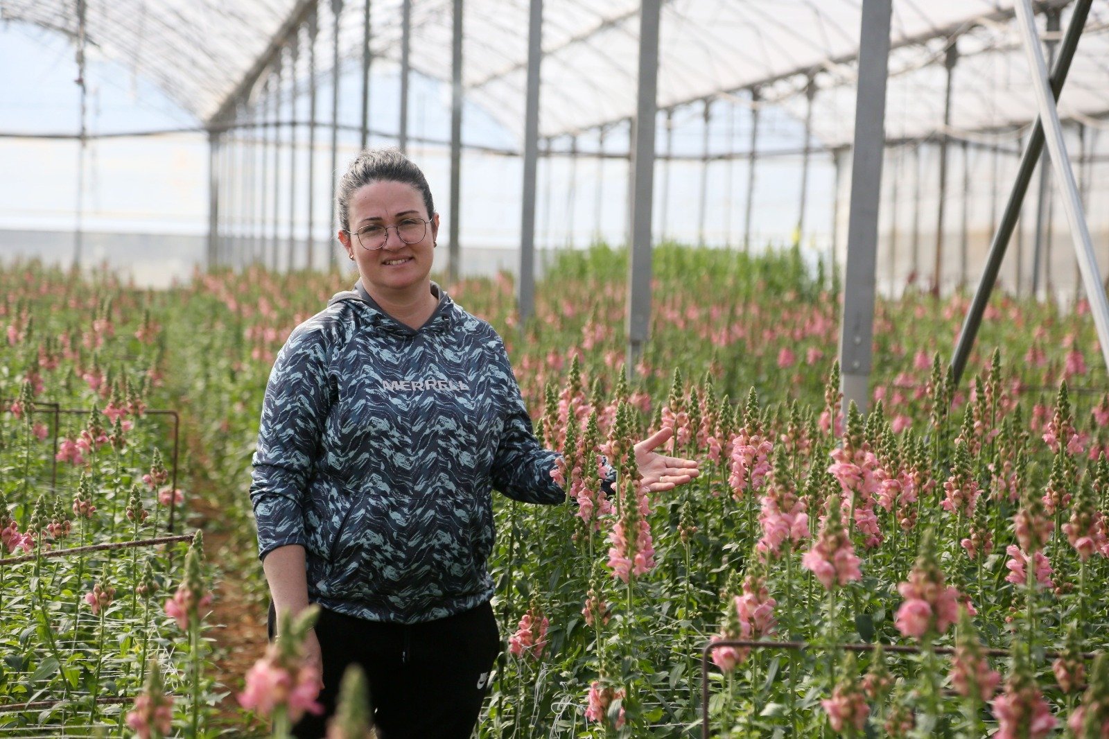 Antalya'da aslanağzı üretimi başladı
